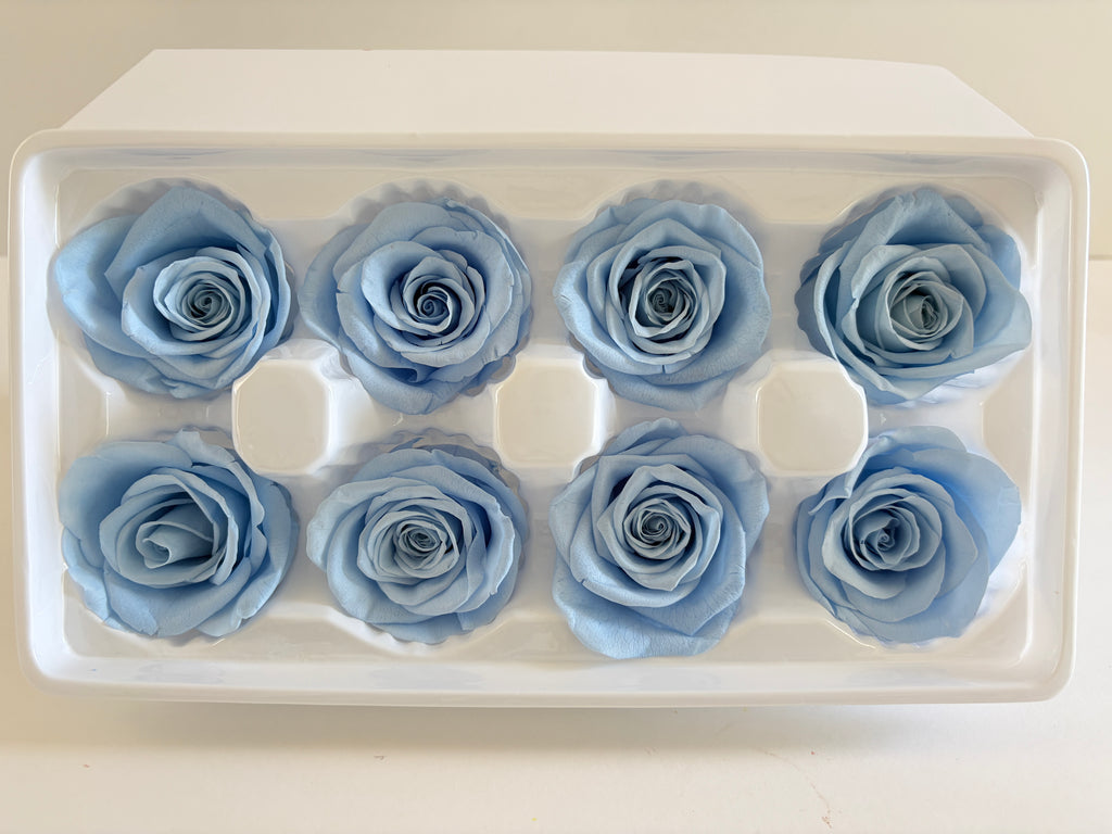 Large Preserved Rose Heads – 8 Pieces