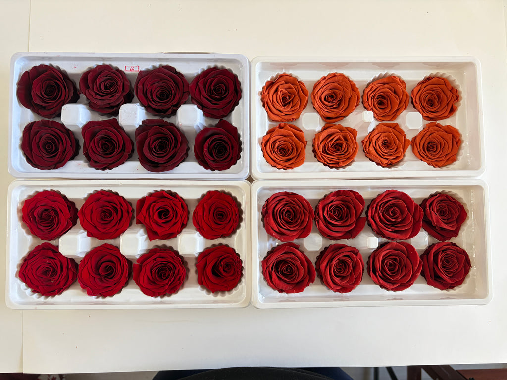 Large Preserved Rose Heads – 8 Pieces