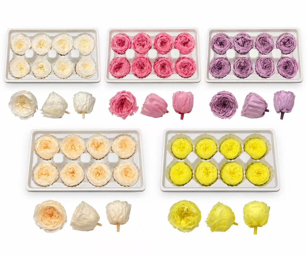 4–5 cm Preserved Austin Rose Heads – 8/Box
