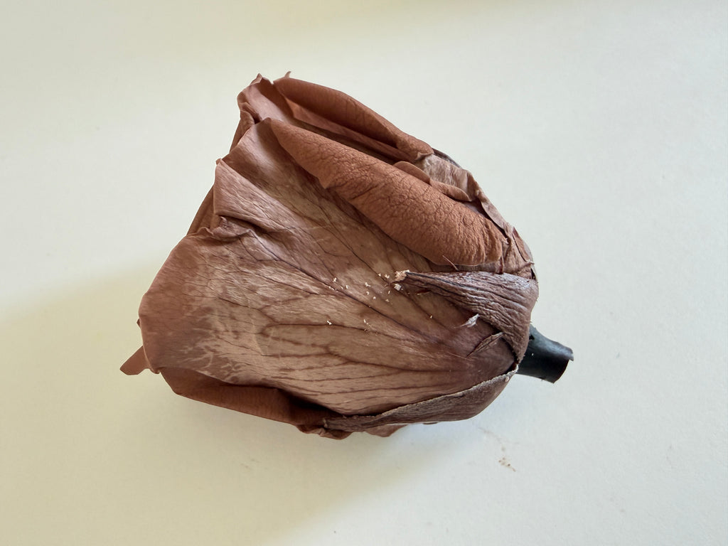 Large Preserved Rose Heads – 8 Pieces