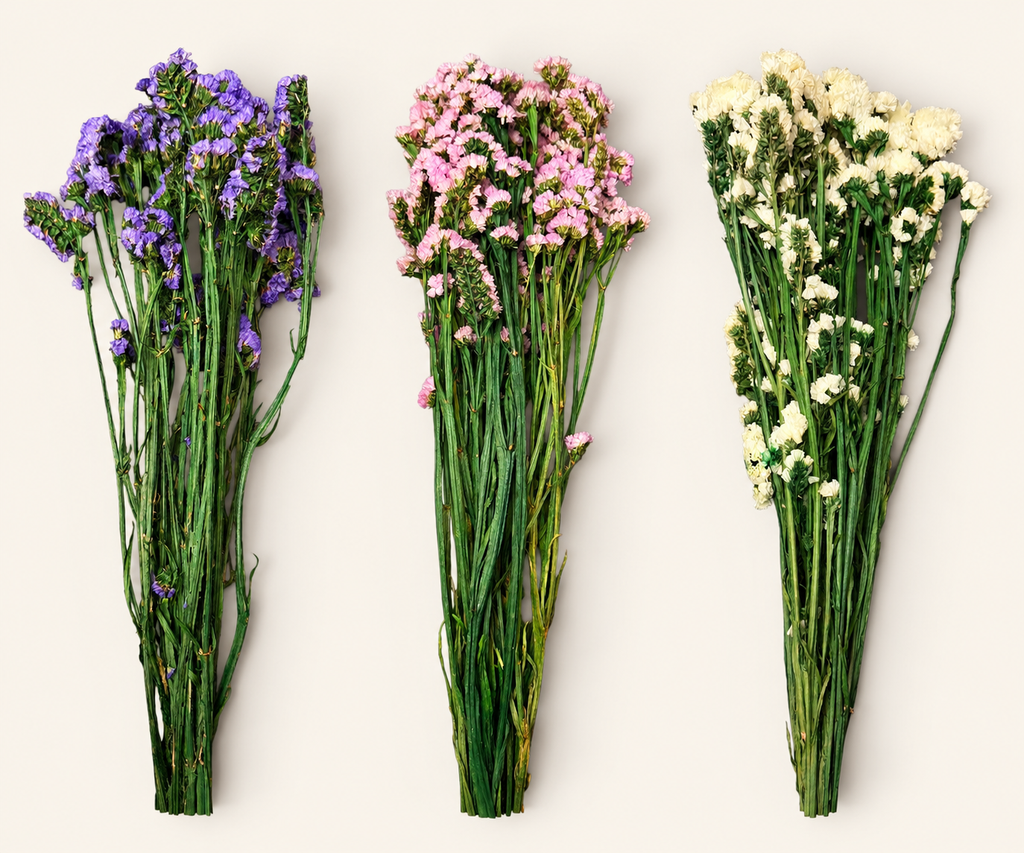 Dried Forget-Me-Not – 1 Bunch