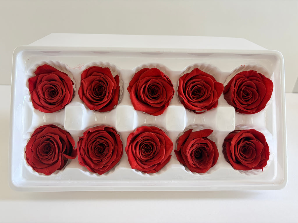 Medium Preserved Rose Heads – 10 Pieces