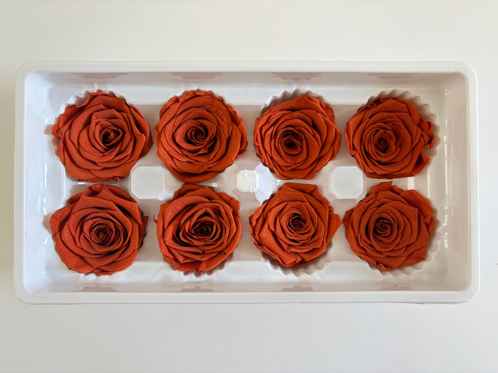 Large Preserved Rose Heads – 8 Pieces