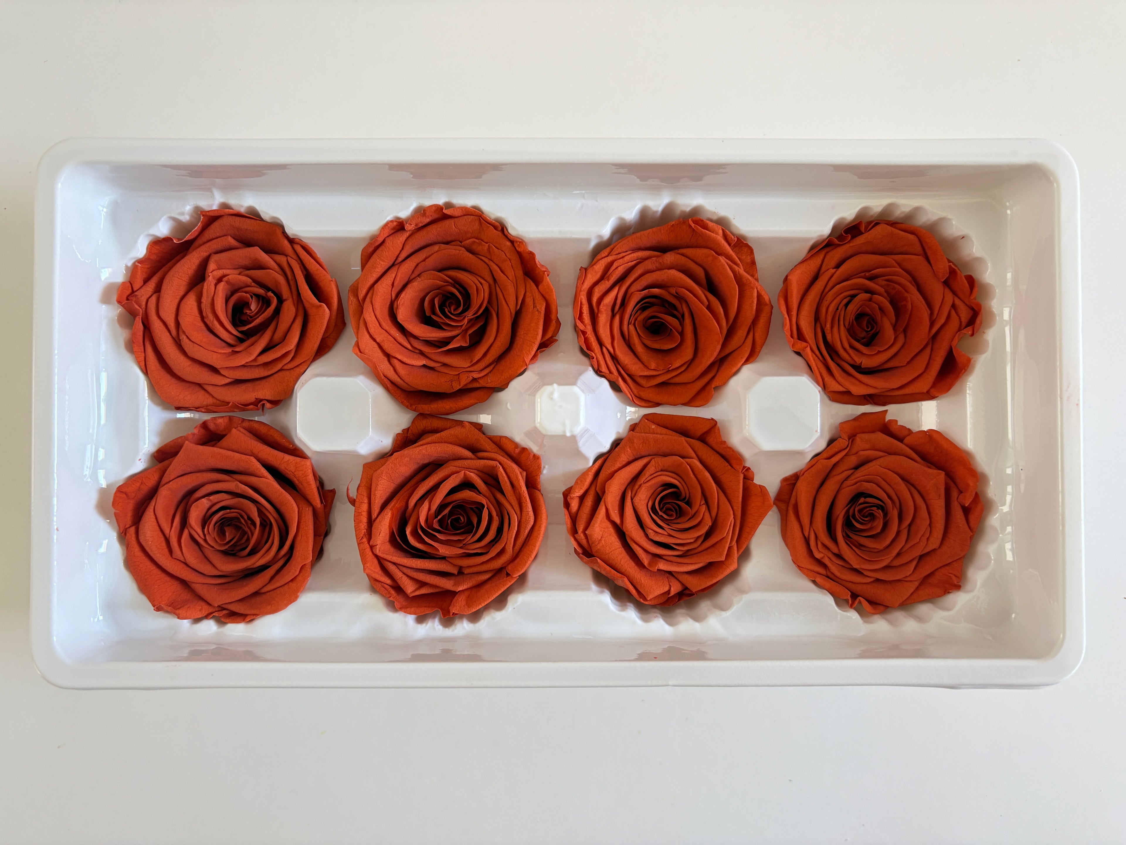Large Preserved Rose Heads – 8 Pieces