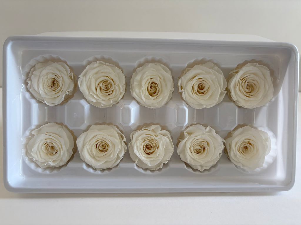 Medium Preserved Rose Heads – 10 Pieces
