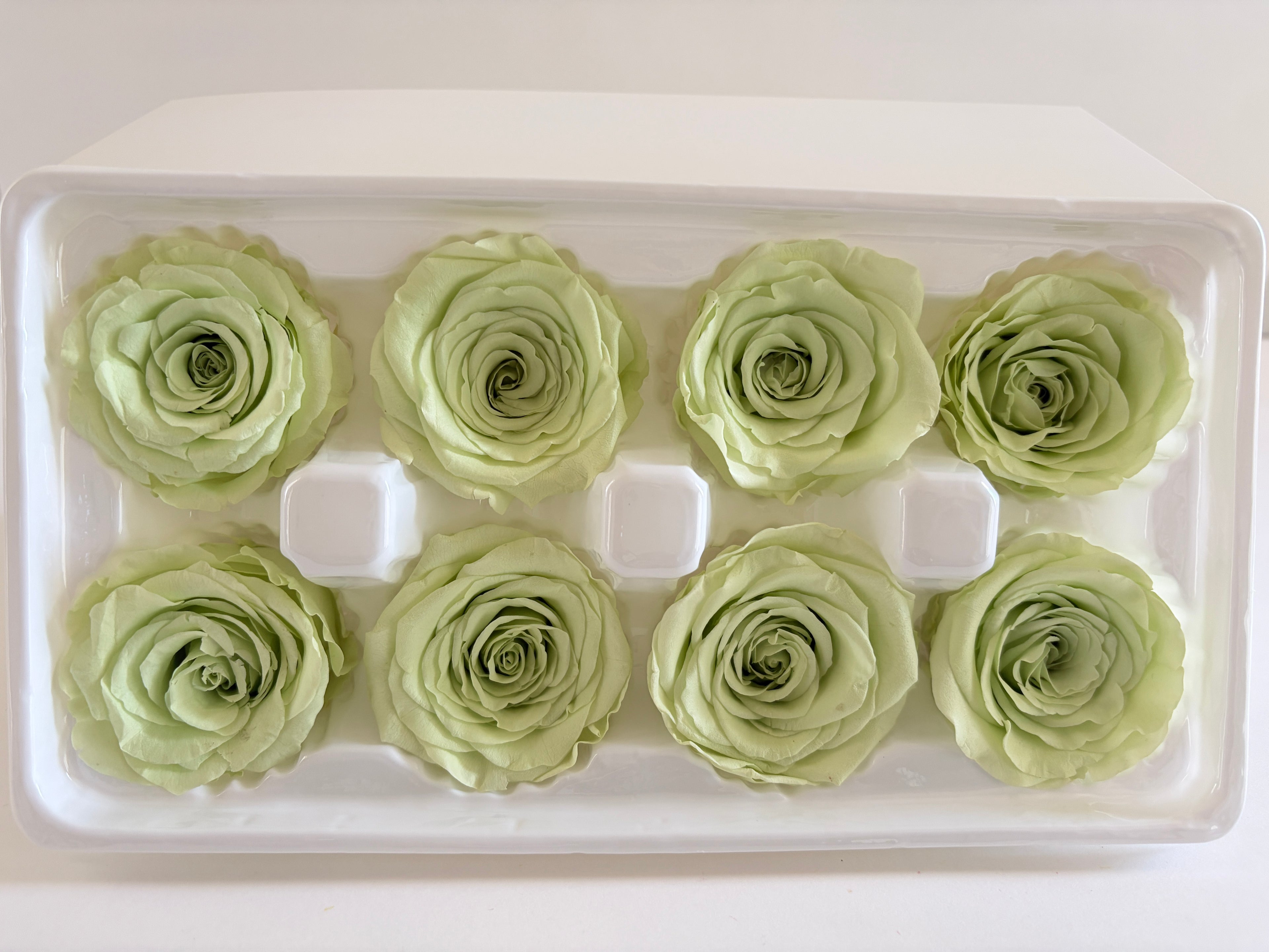 Large Preserved Rose Heads – 8 Pieces