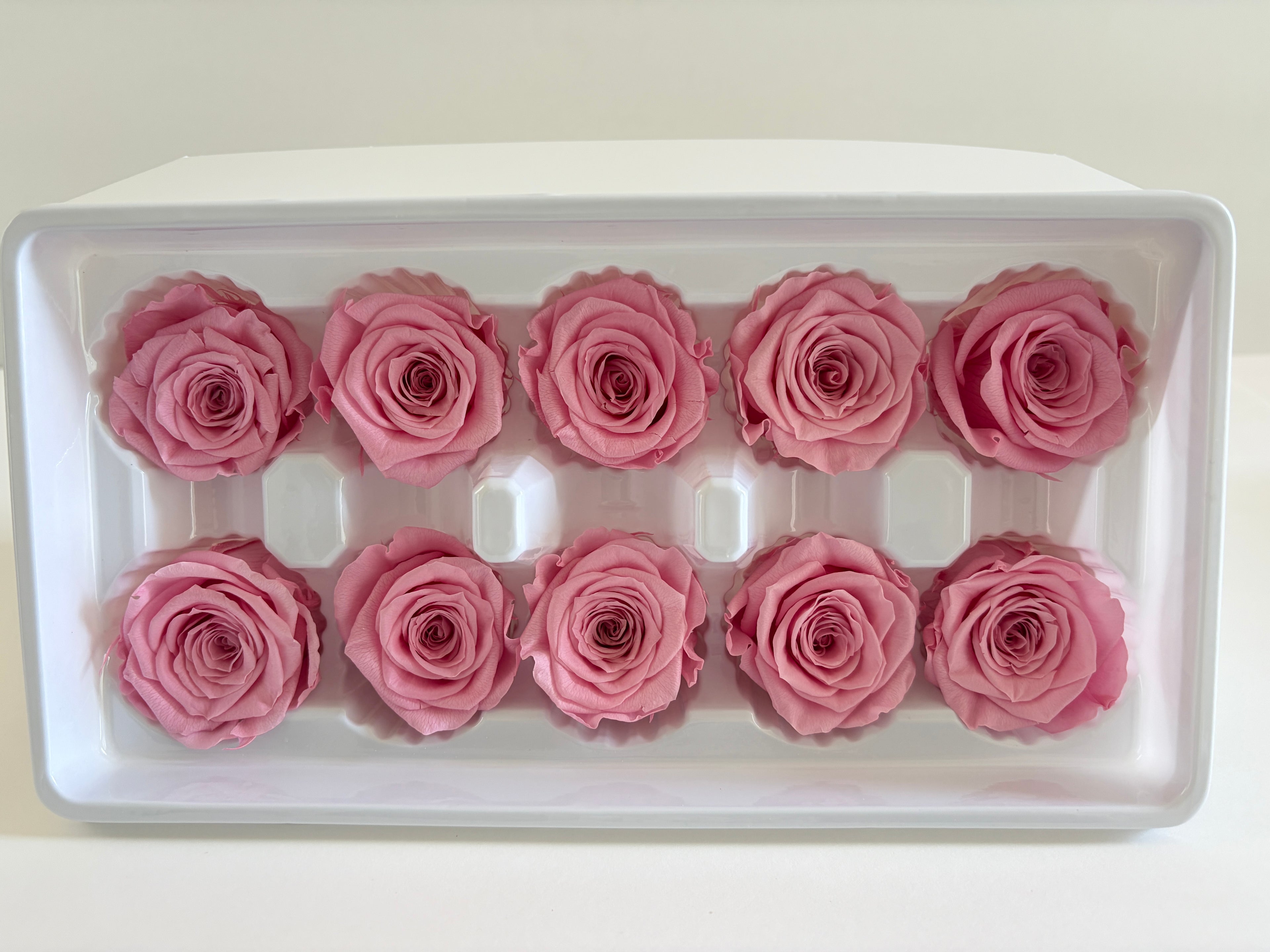 Medium Preserved Rose Heads – 10 Pieces