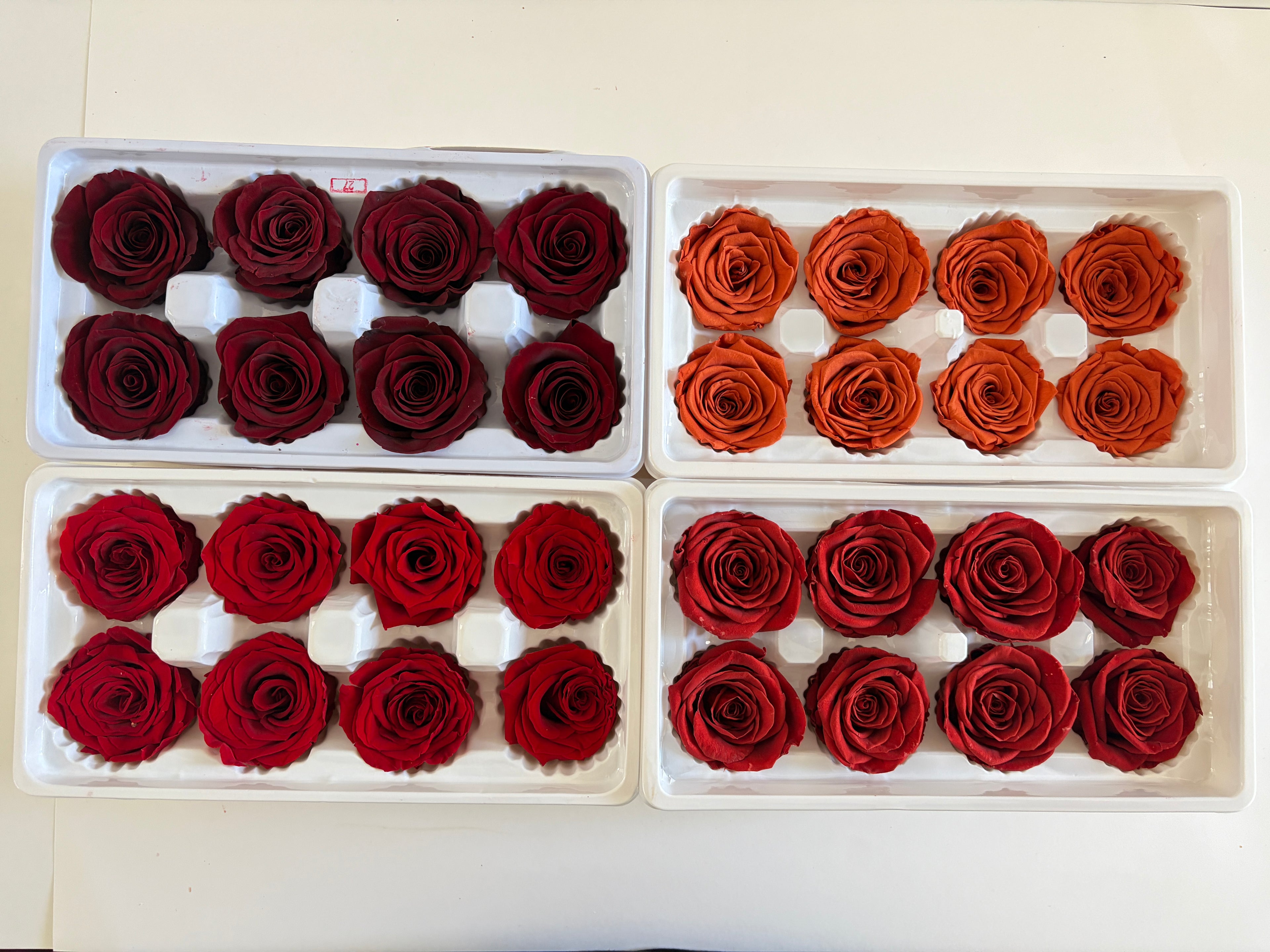 Large Preserved Rose Heads – 8 Pieces