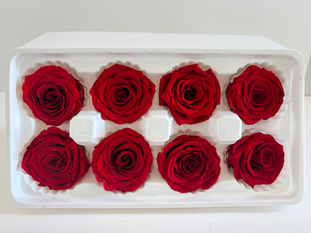 Large Preserved Rose Heads – 8 Pieces