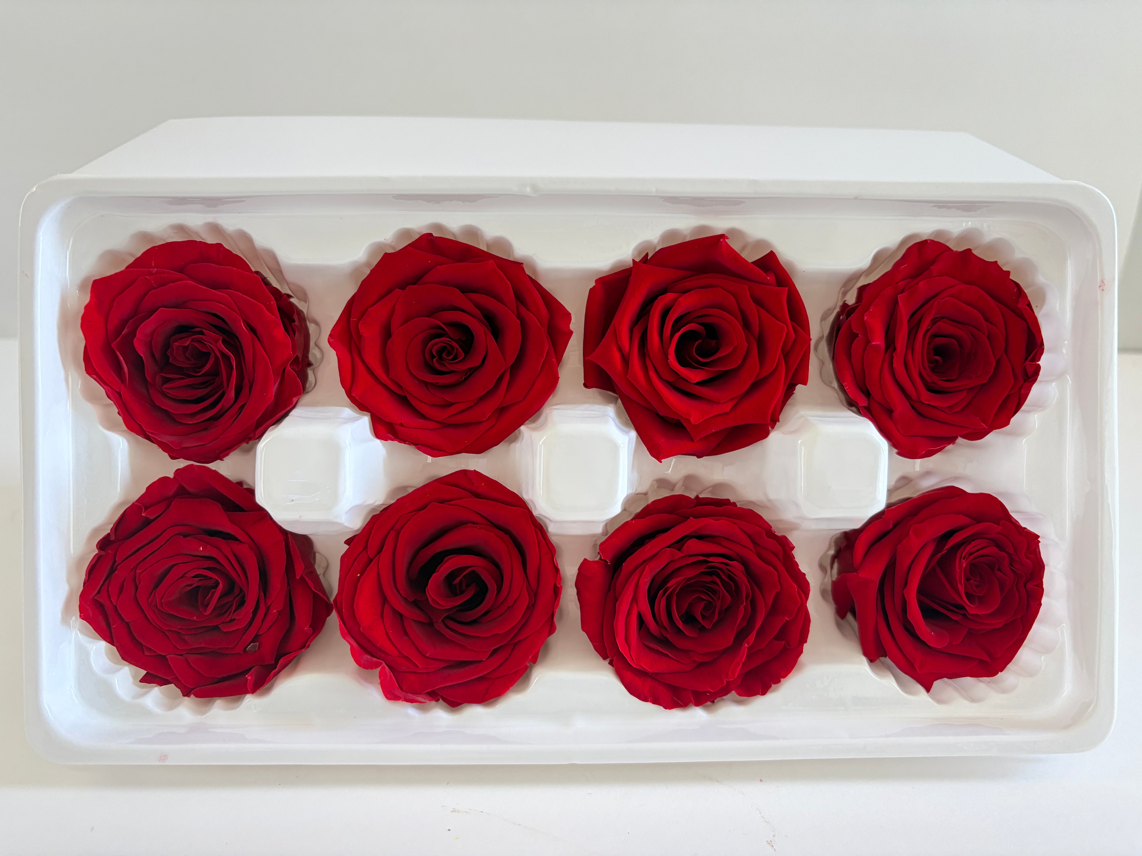 Large Preserved Rose Heads – 8 Pieces