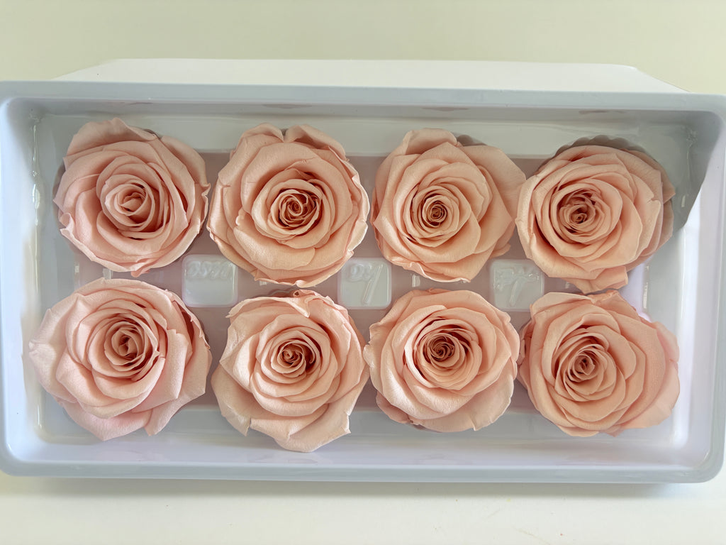 Large Preserved Rose Heads – 8 Pieces