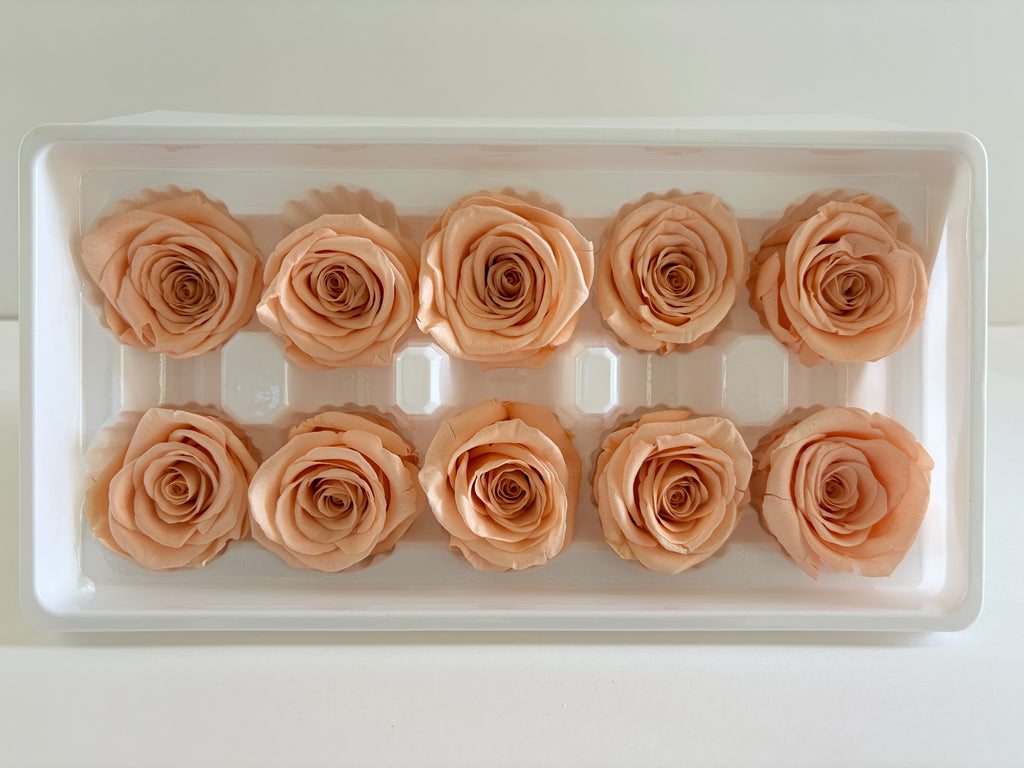 Medium Preserved Rose Heads – 10 Pieces