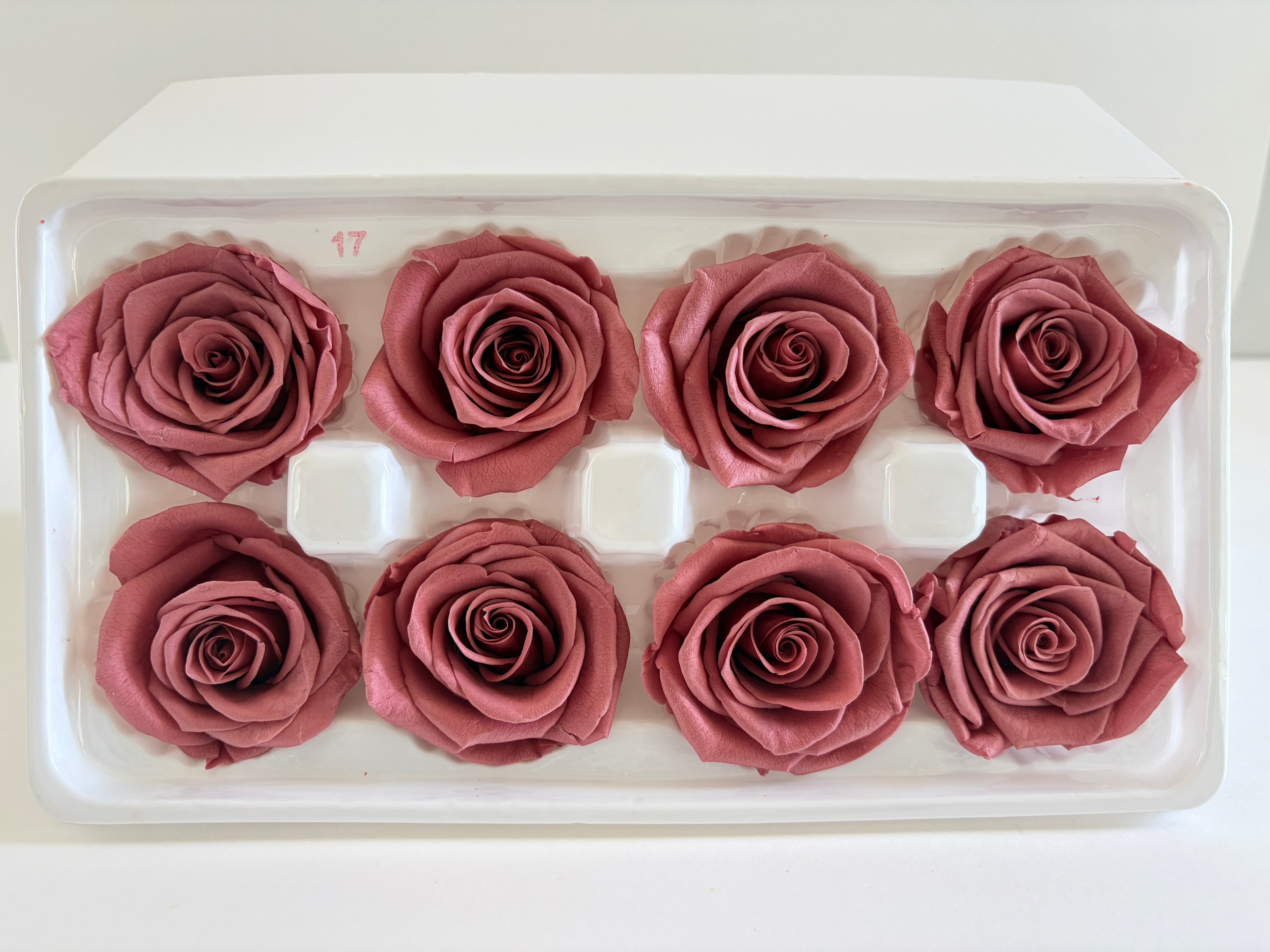Large Preserved Rose Heads – 8 Pieces