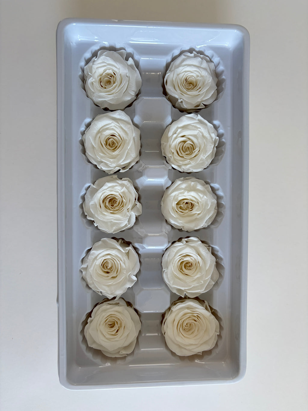 Medium Preserved Rose Heads – 10 Pieces