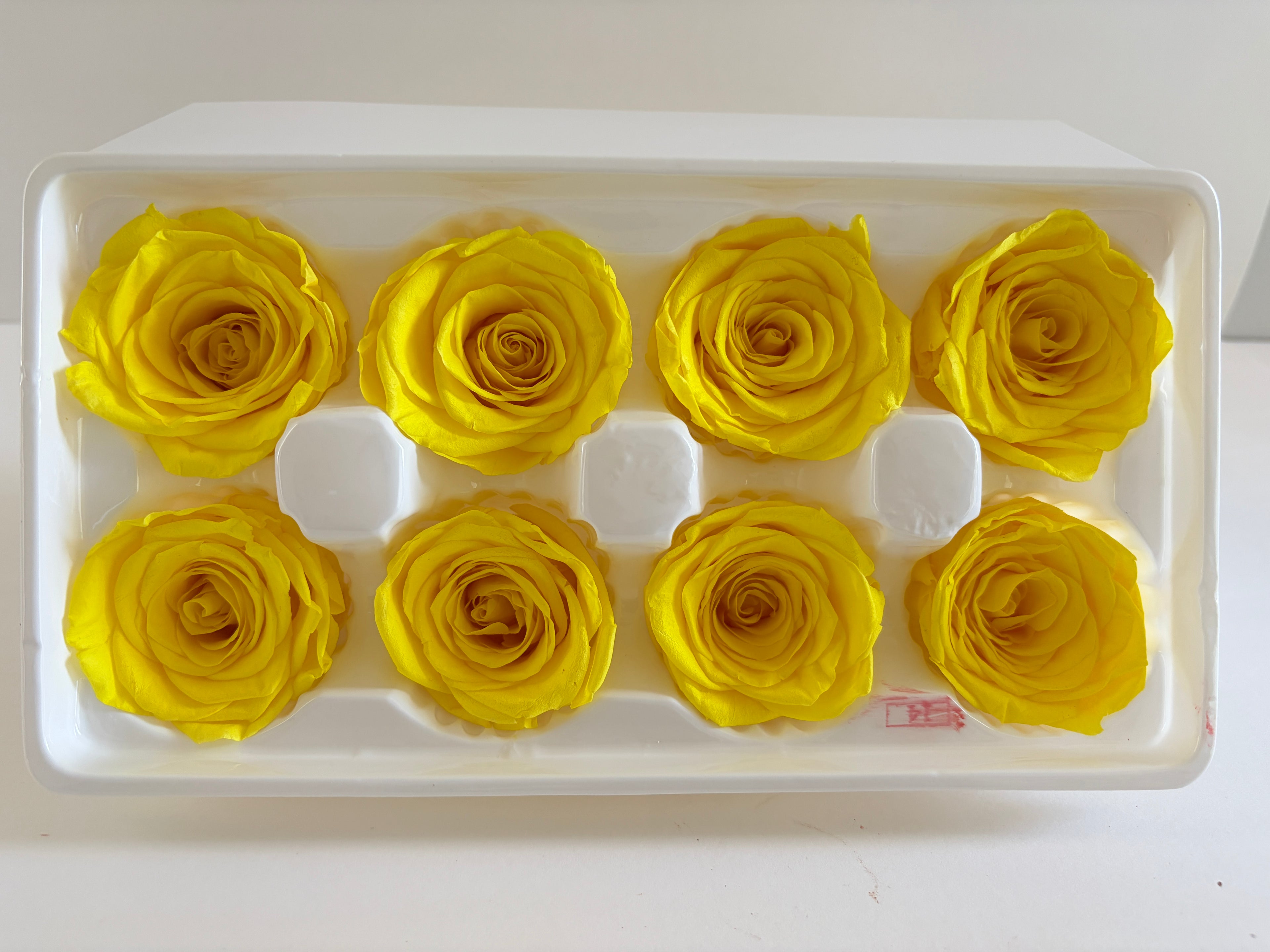 Large Preserved Rose Heads – 8 Pieces