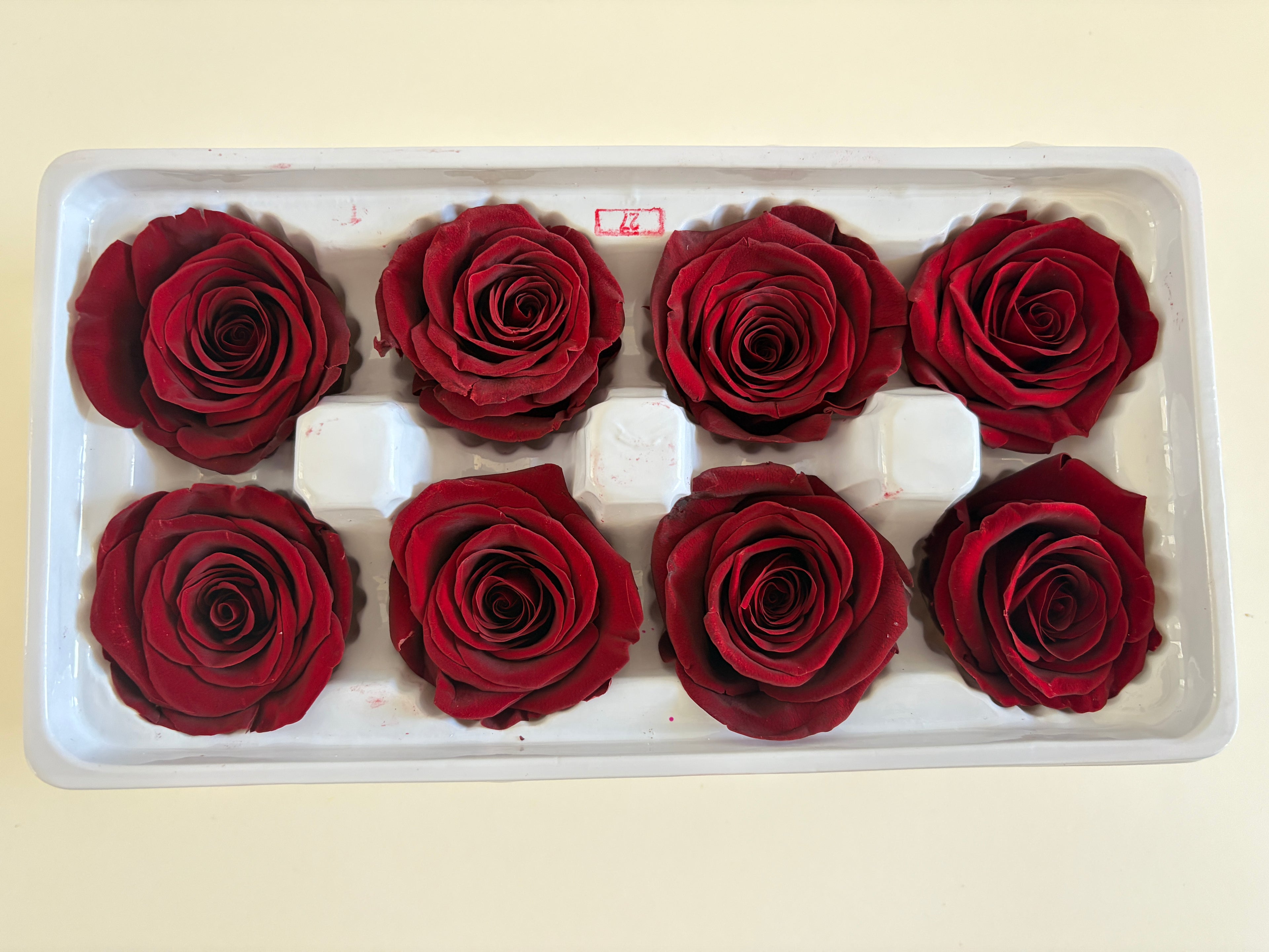 Large Preserved Rose Heads – 8 Pieces