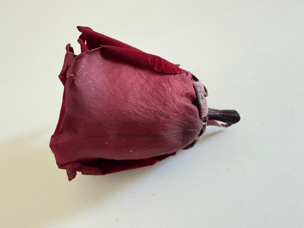Large Preserved Rose Heads – 8 Pieces