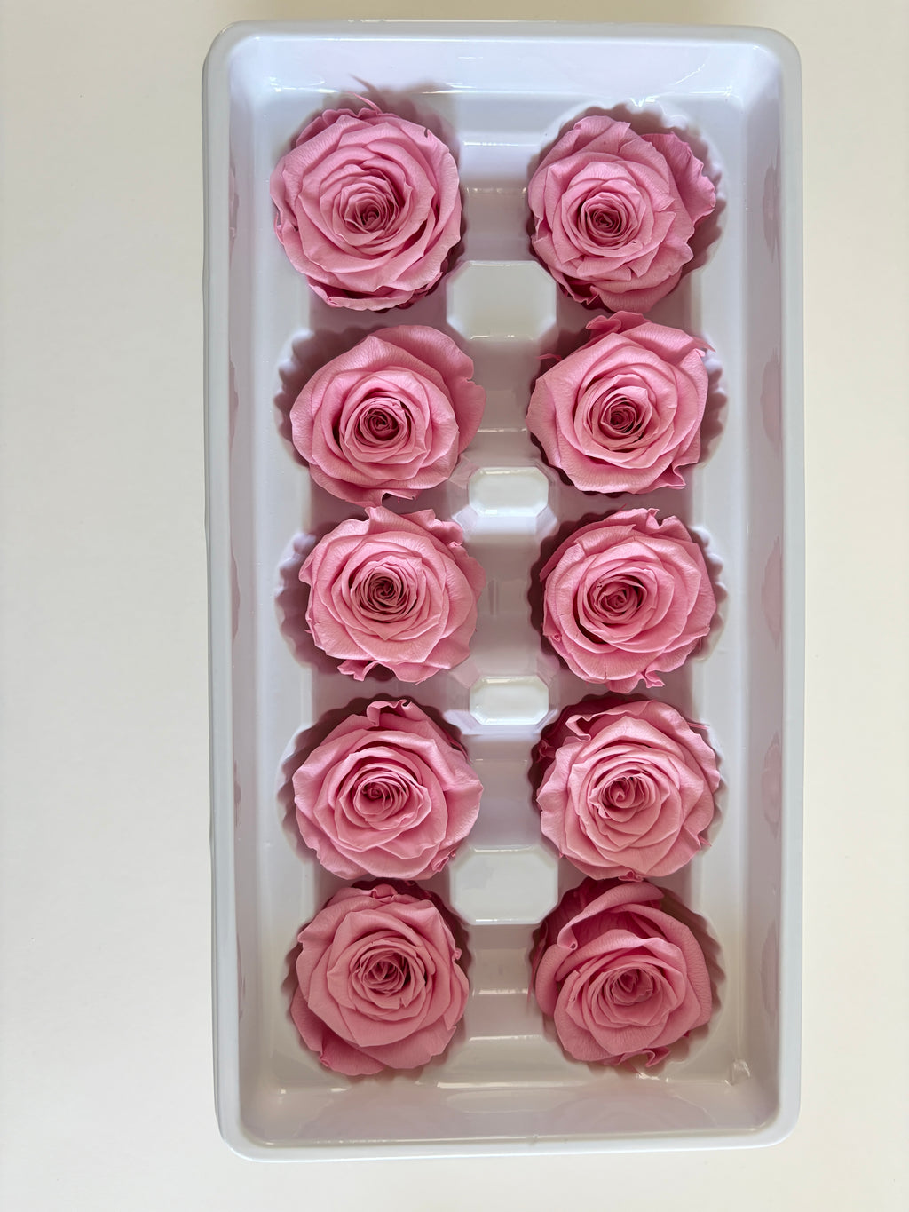 Medium Preserved Rose Heads – 10 Pieces