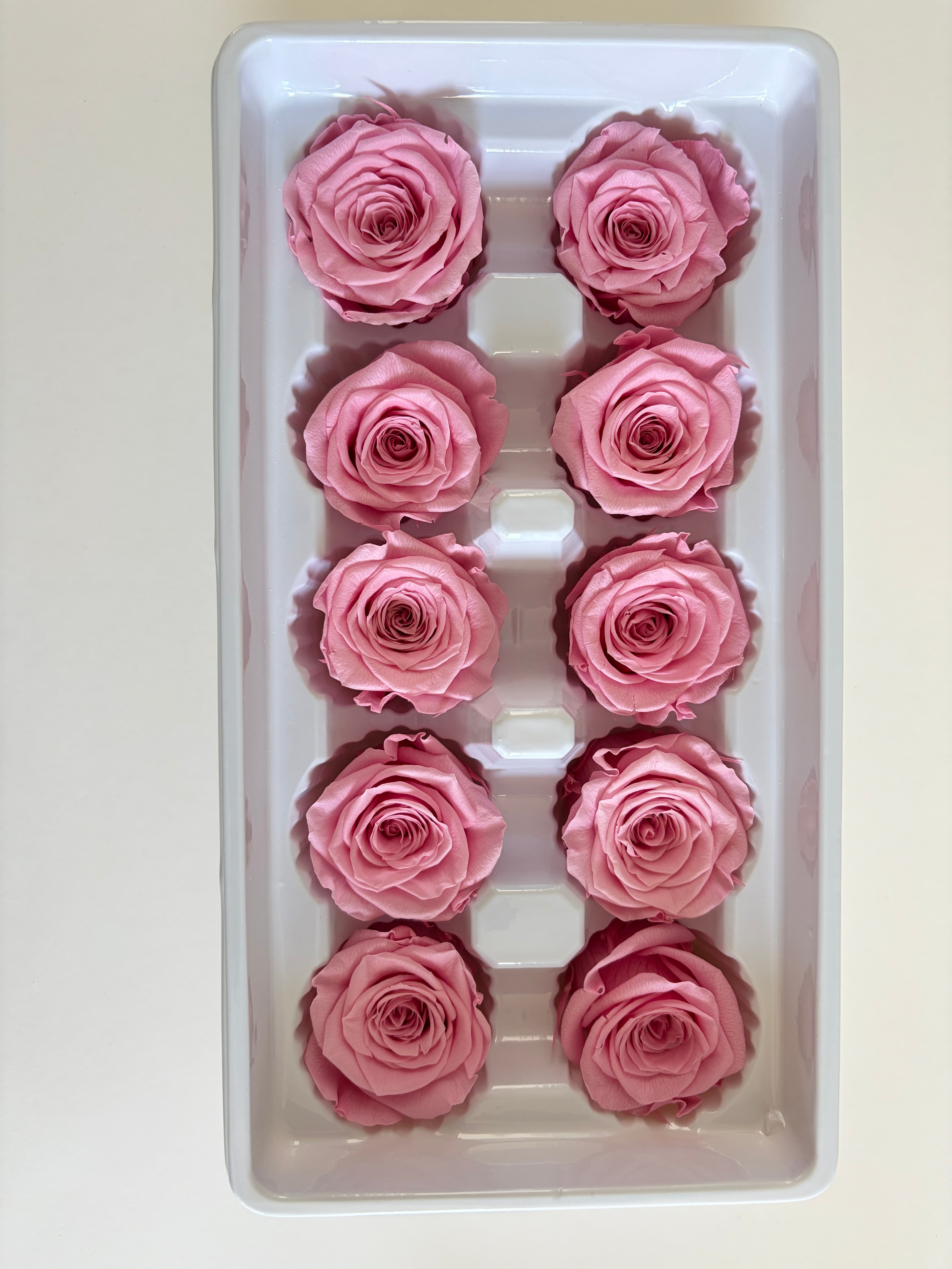Medium Preserved Rose Heads – 10 Pieces