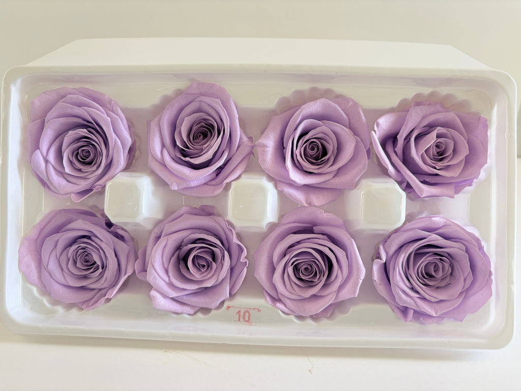 Large Preserved Rose Heads – 8 Pieces
