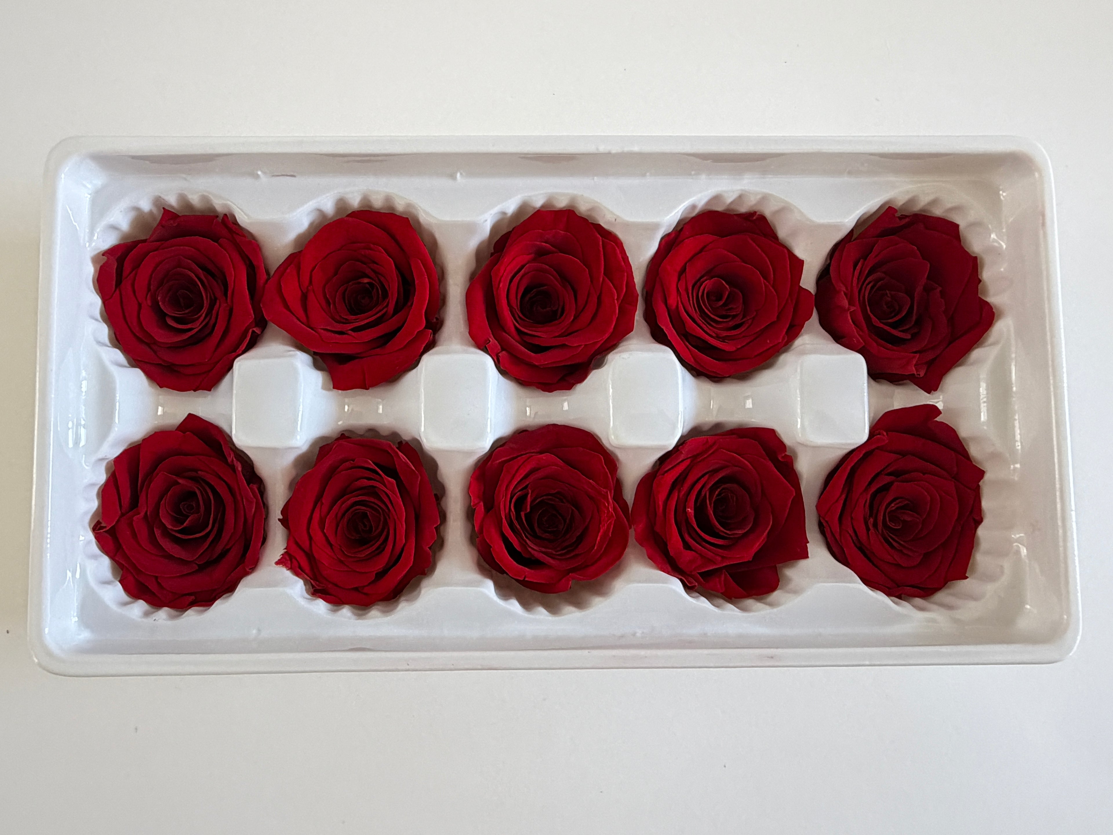 Medium Preserved Rose Heads – 10 Pieces
