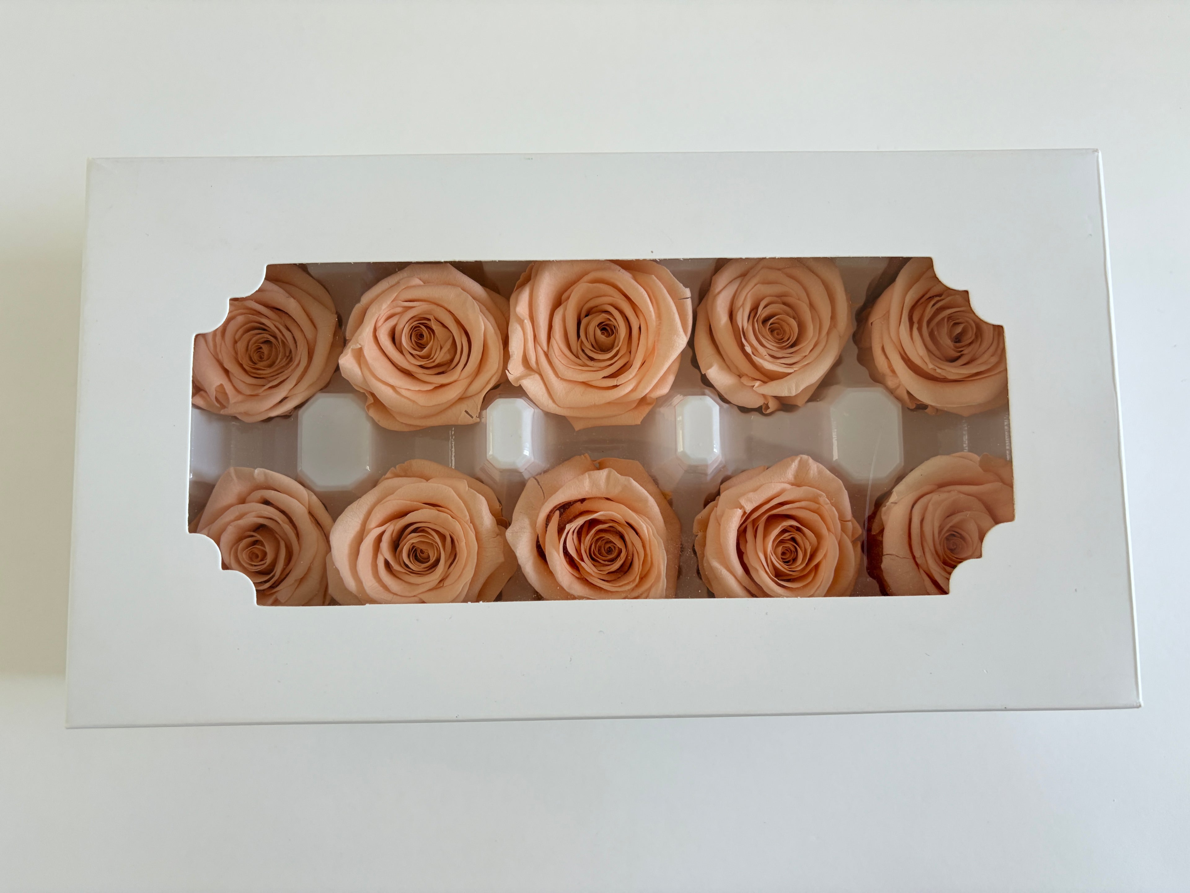 Medium Preserved Rose Heads – 10 Pieces