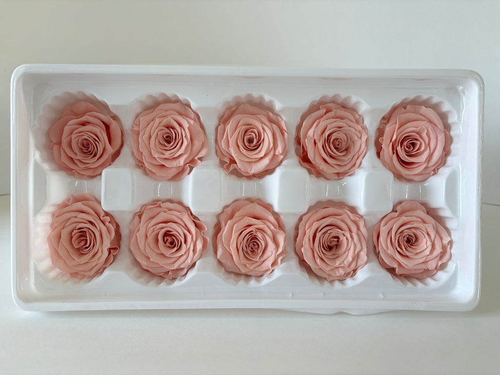 Medium Preserved Rose Heads – 10 Pieces
