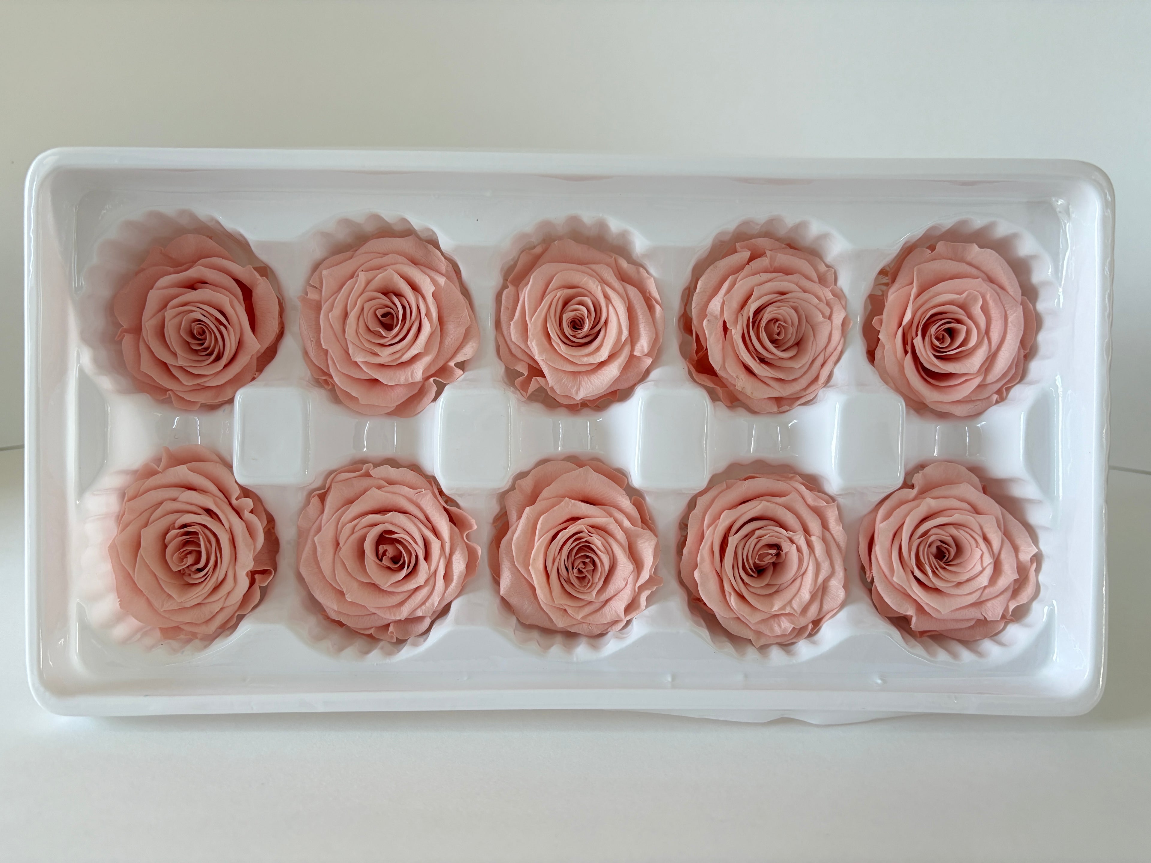 Medium Preserved Rose Heads – 10 Pieces