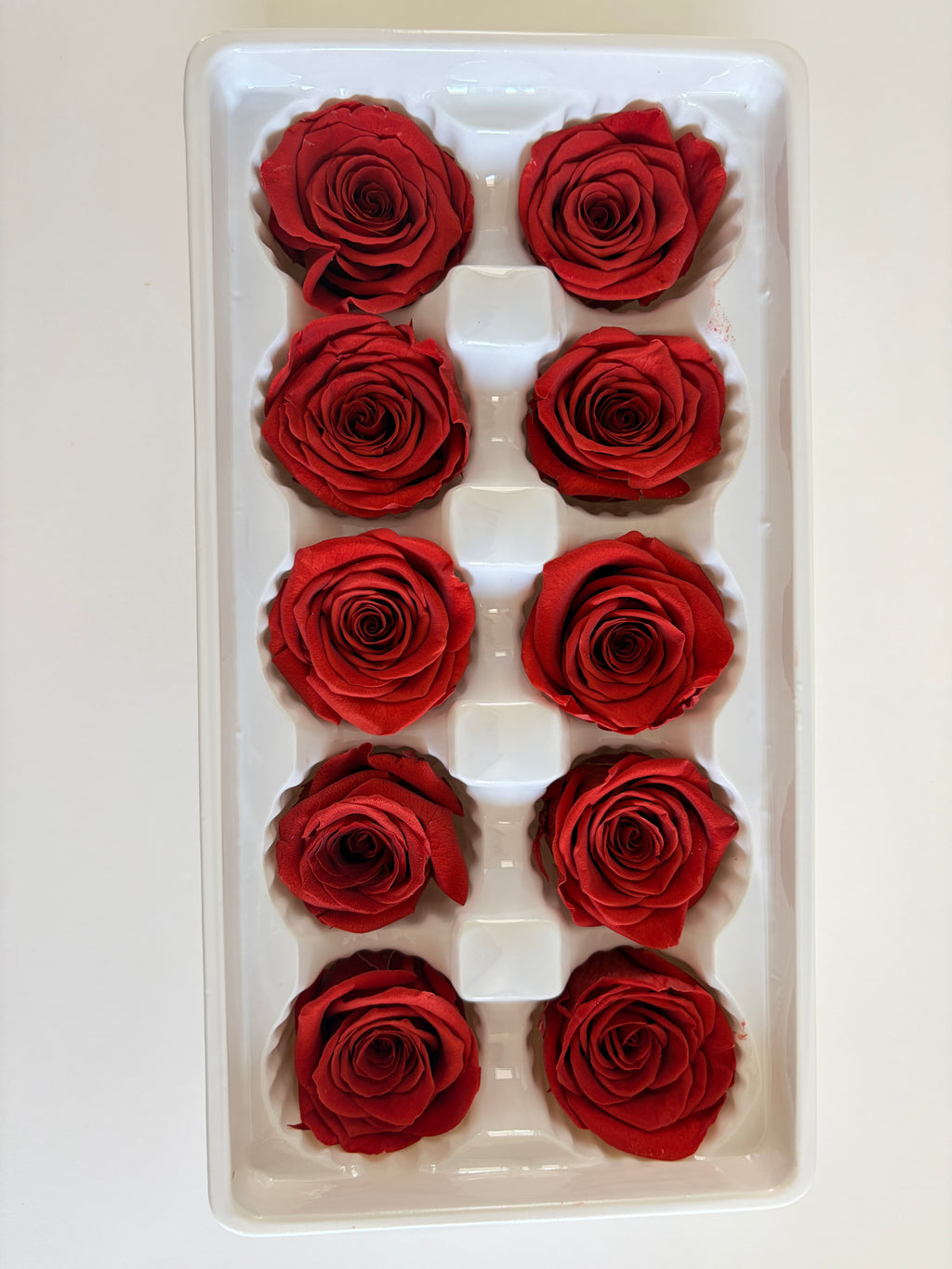Medium Preserved Rose Heads – 10 Pieces