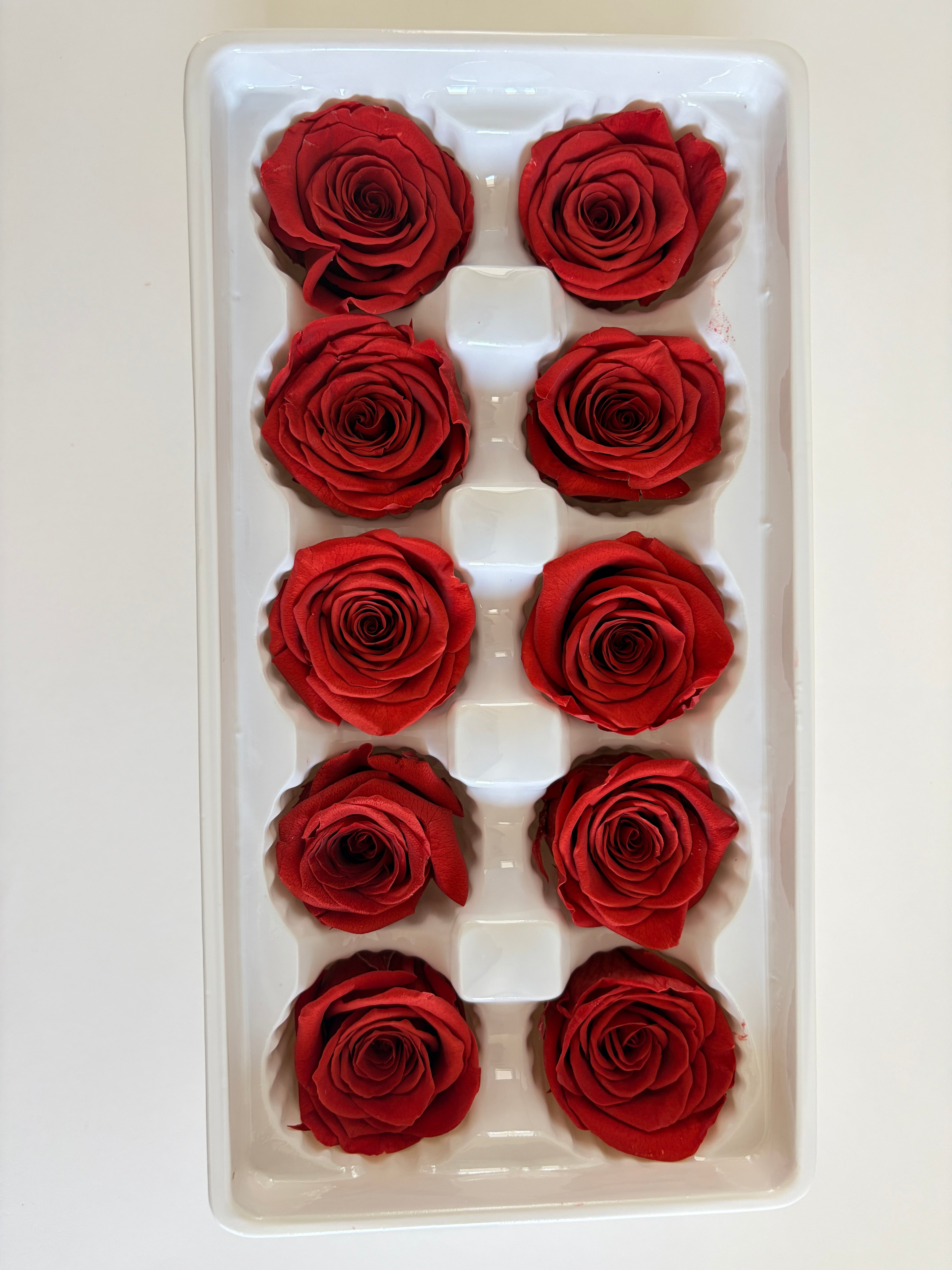 Medium Preserved Rose Heads – 10 Pieces