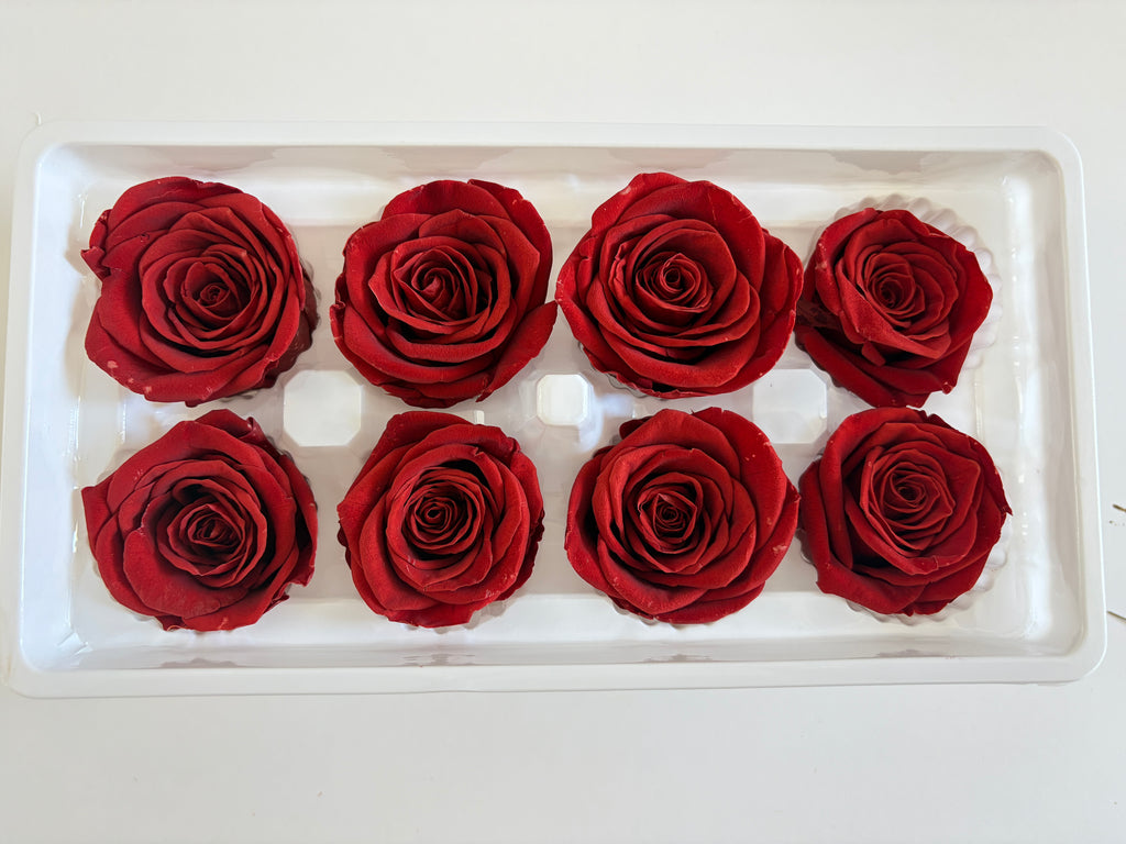Large Preserved Rose Heads – 8 Pieces