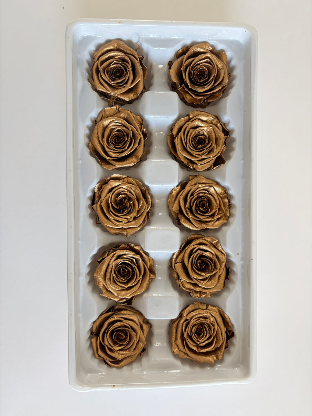 Medium Preserved Rose Heads – 10 Pieces
