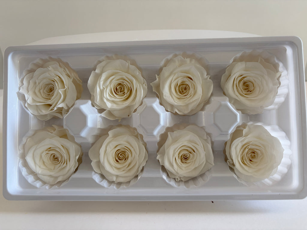 Large Preserved Rose Heads – 8 Pieces