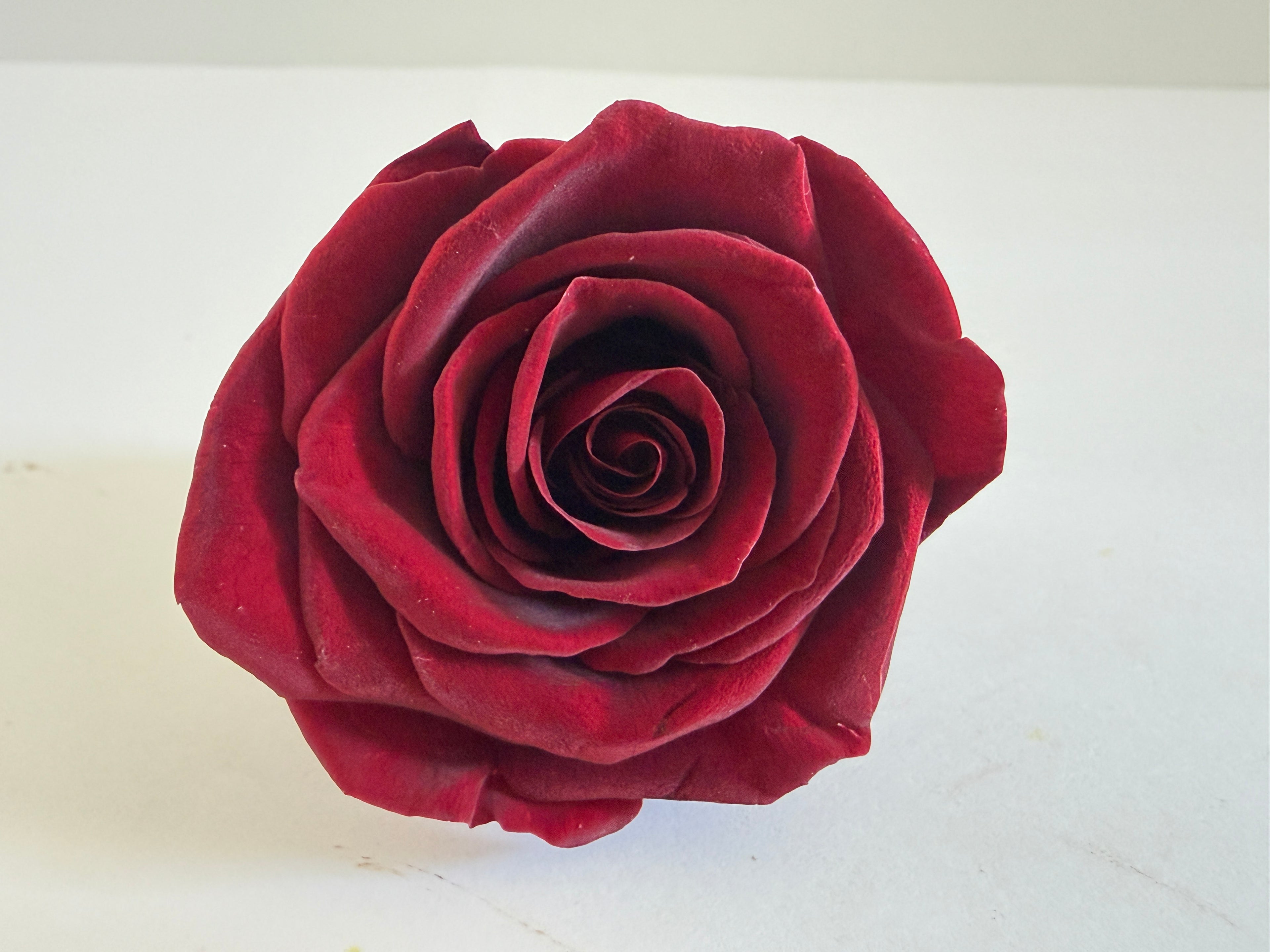 Large Preserved Rose Heads – 8 Pieces