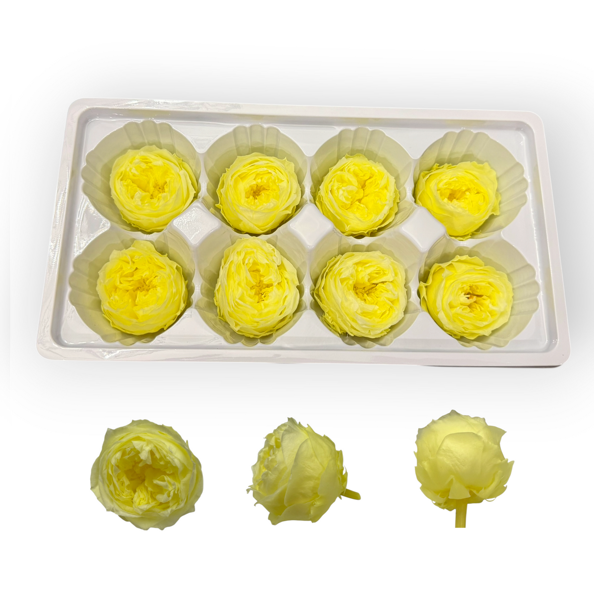Lemon Yellow 4–5 cm preserved Austin rose heads, 8 per box