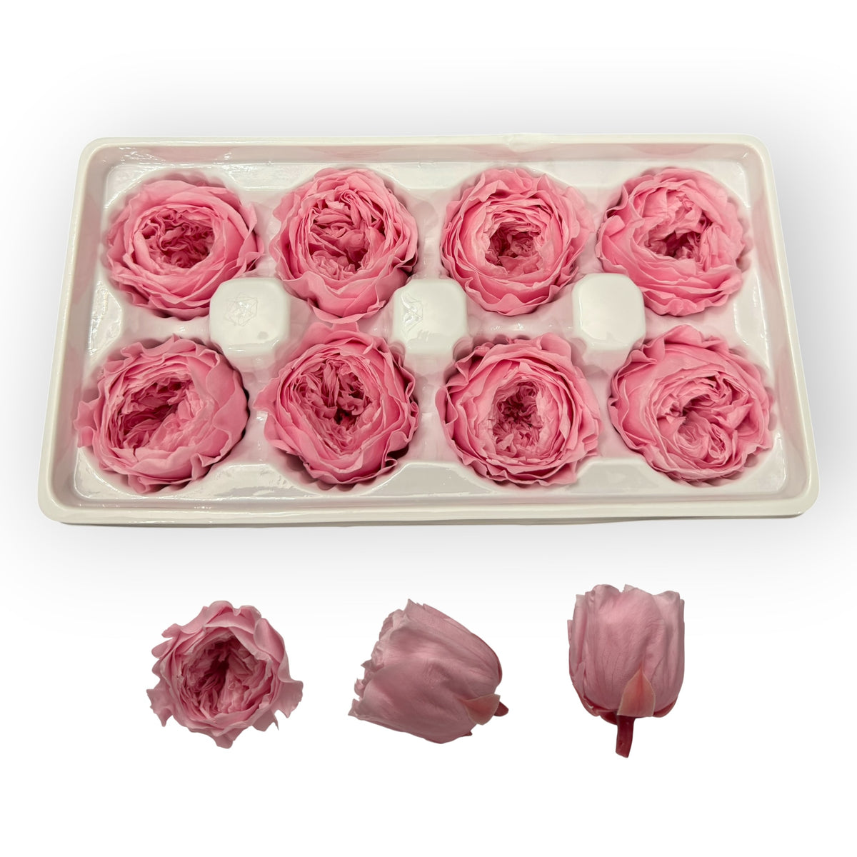 Pink 4–5 cm preserved Austin rose heads, 8 per box