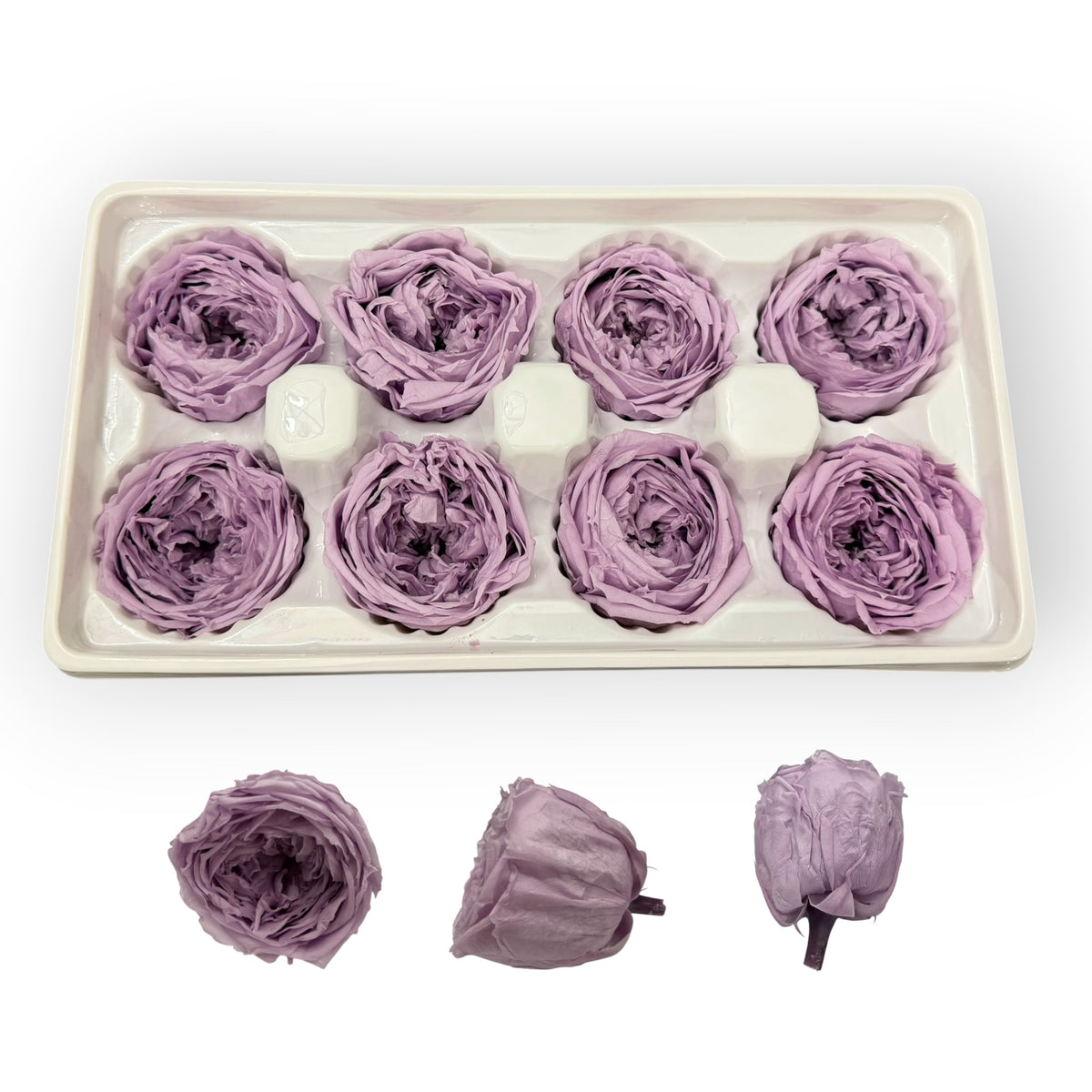 Purple 4–5 cm preserved Austin rose heads, 8 per box