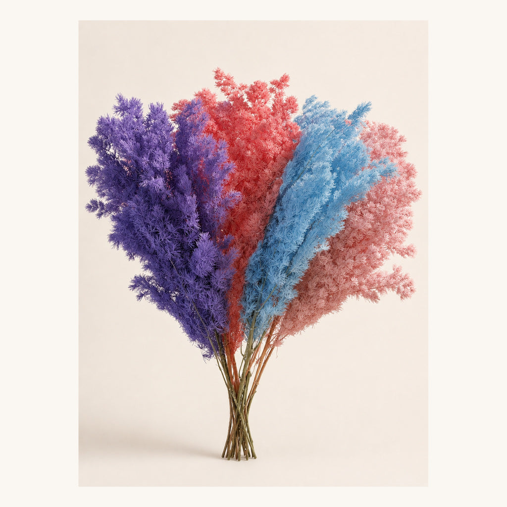 Preserved Ming fern in assorted colors