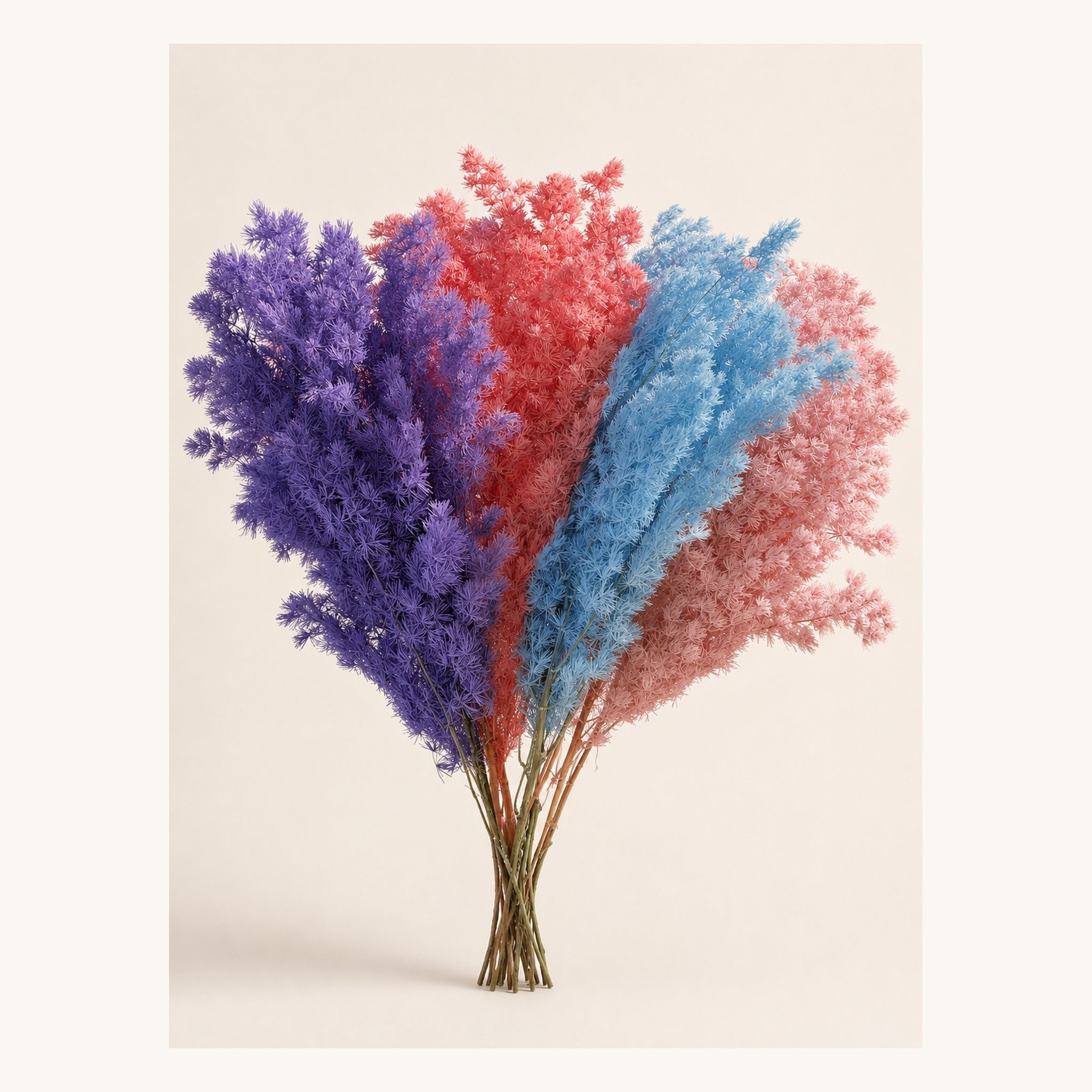 Preserved Ming fern in assorted colors