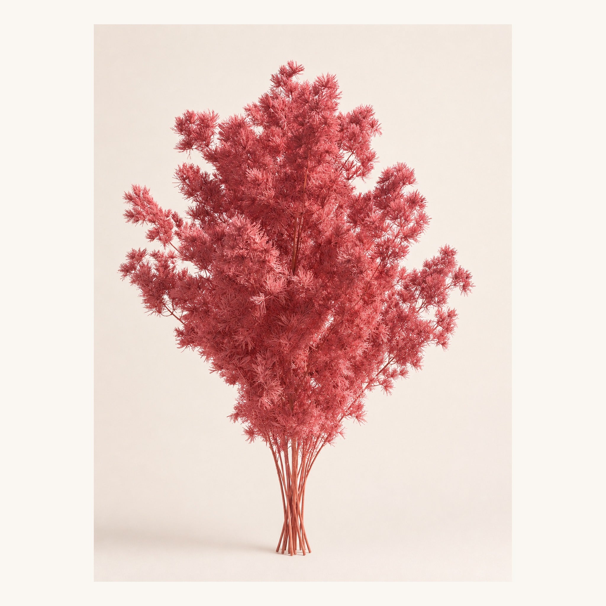 Coral pink preserved Ming fern, 100 g
