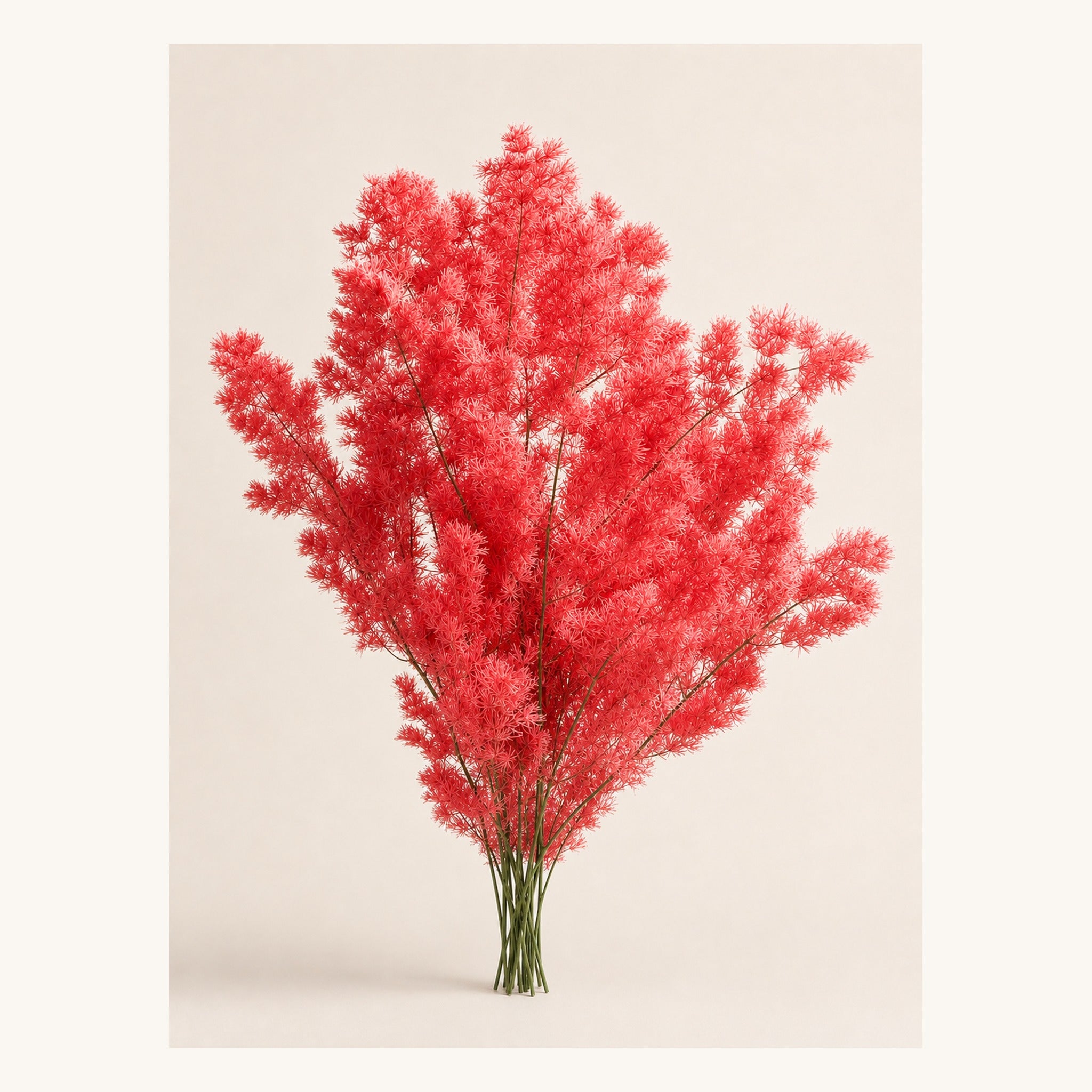 Coral red preserved Ming fern, 100 g