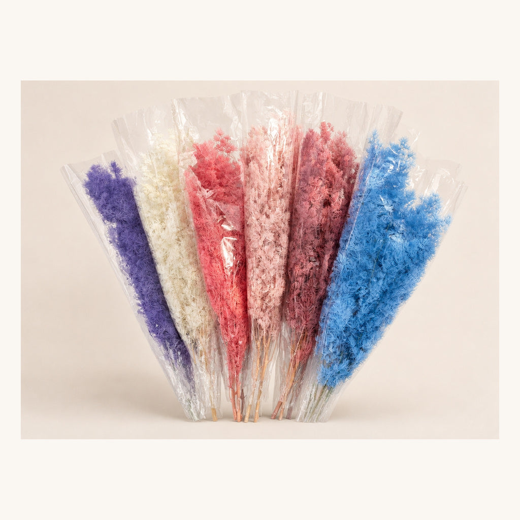 Preserved Ming fern packaged by color