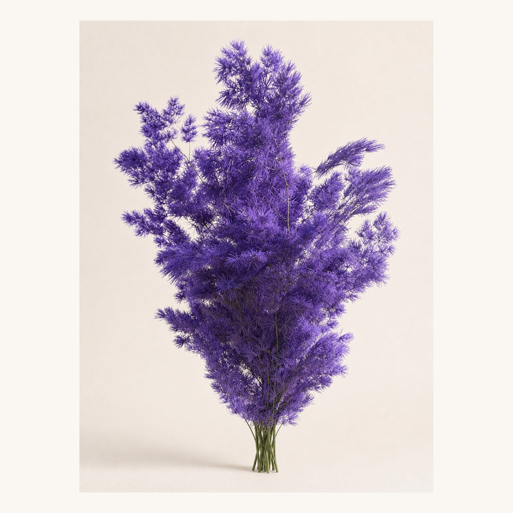 Purple preserved Ming fern, 100 g