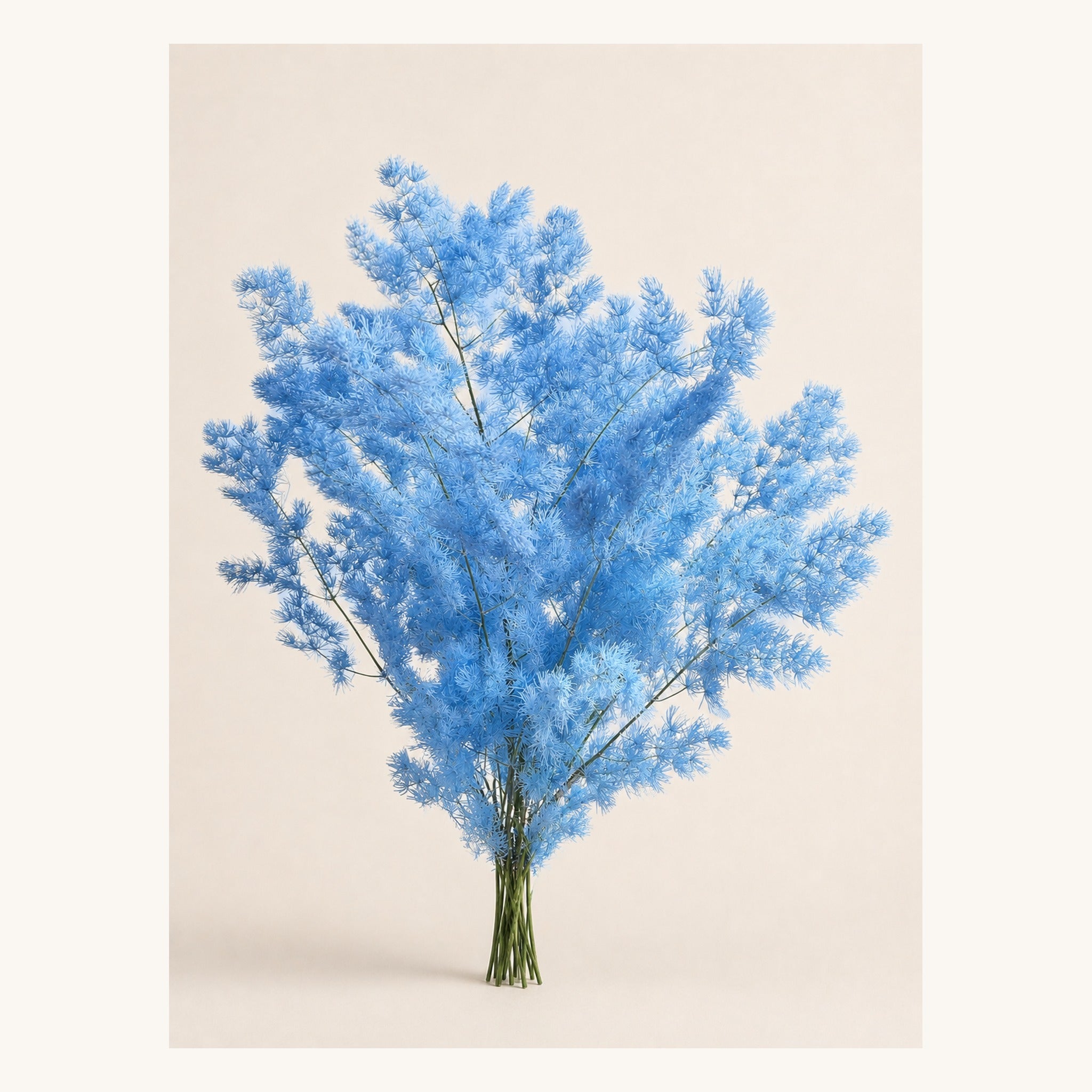 Sky blue preserved Ming fern, 100 g