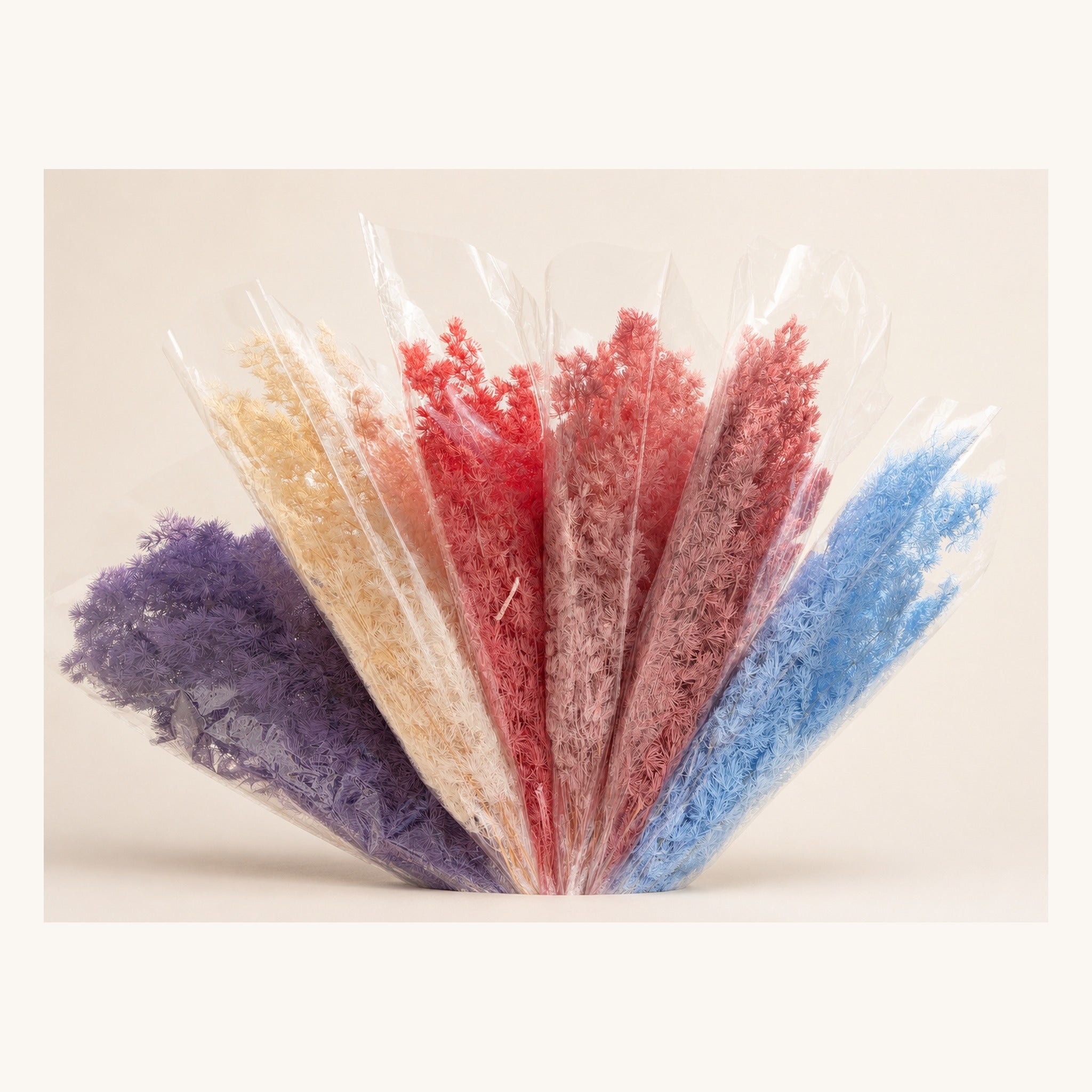 Wrapped preserved Ming fern color assortment