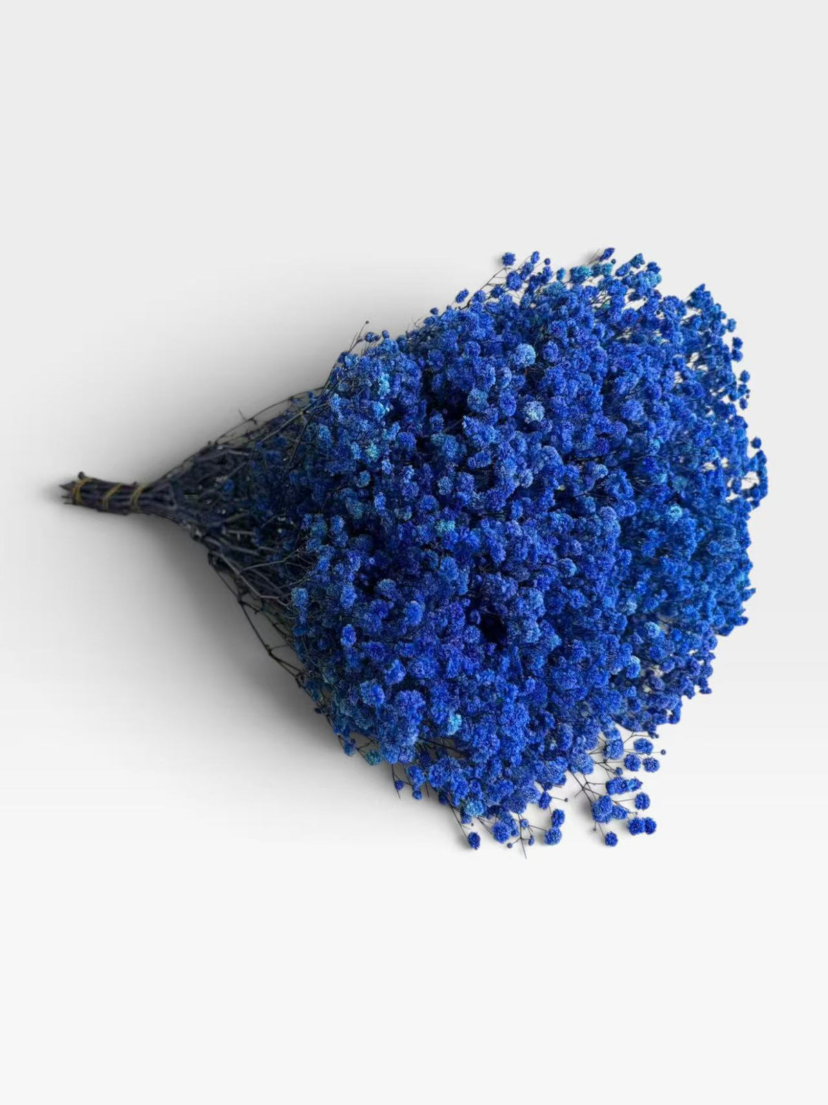 Blue preserved baby's breath, approximately 200 g