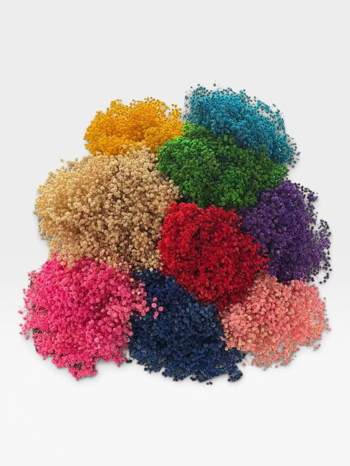 Preserved baby's breath colour collection