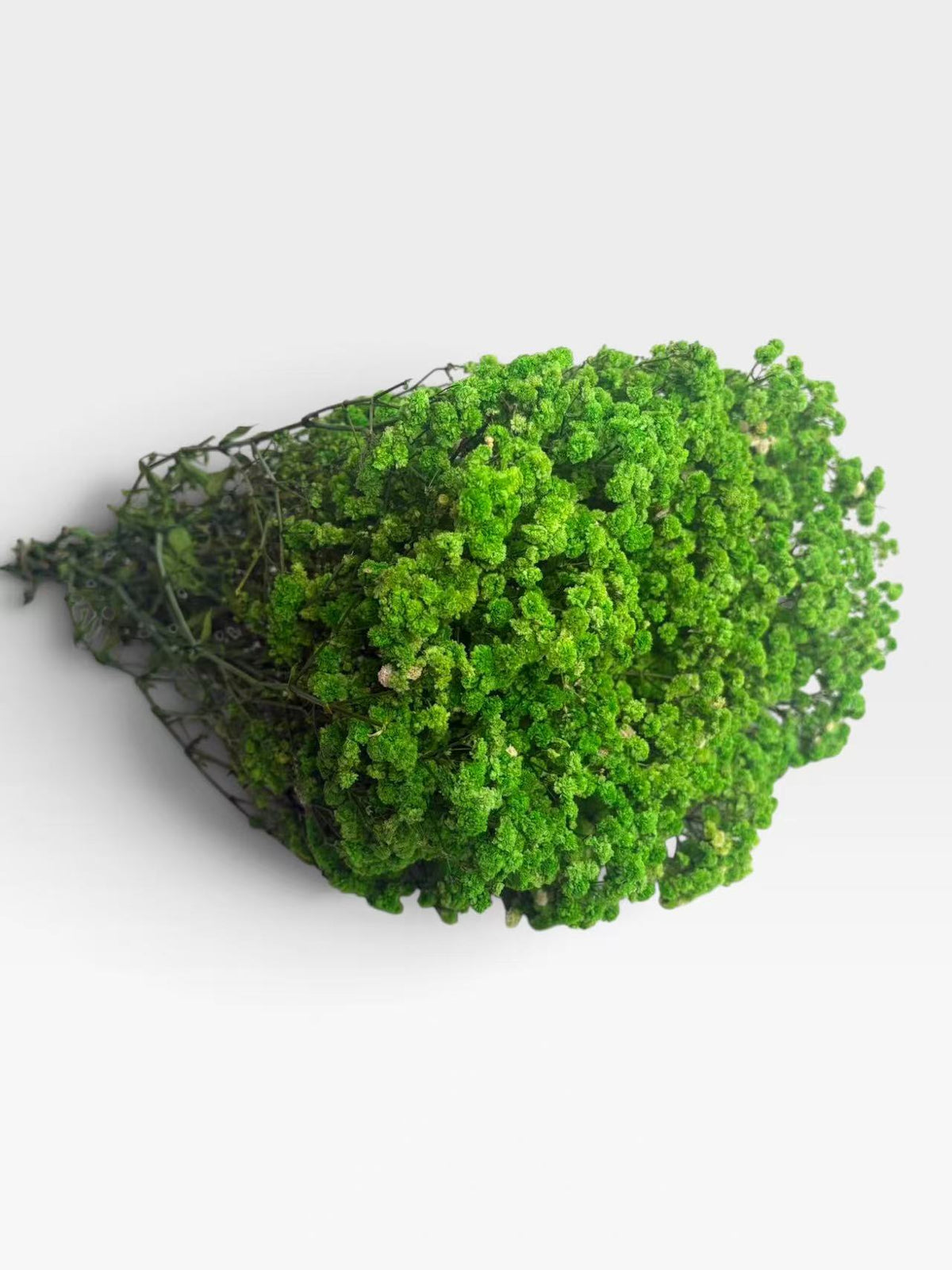 Green preserved baby's breath, approximately 200 g
