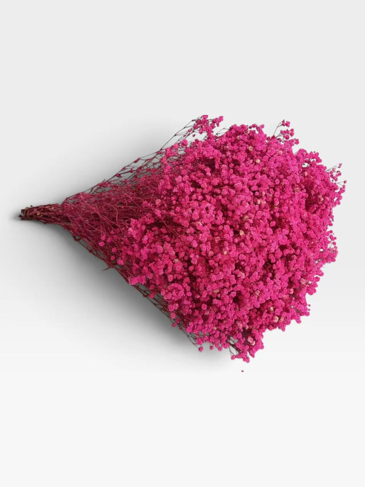 Hot pink preserved baby's breath, approximately 200 g