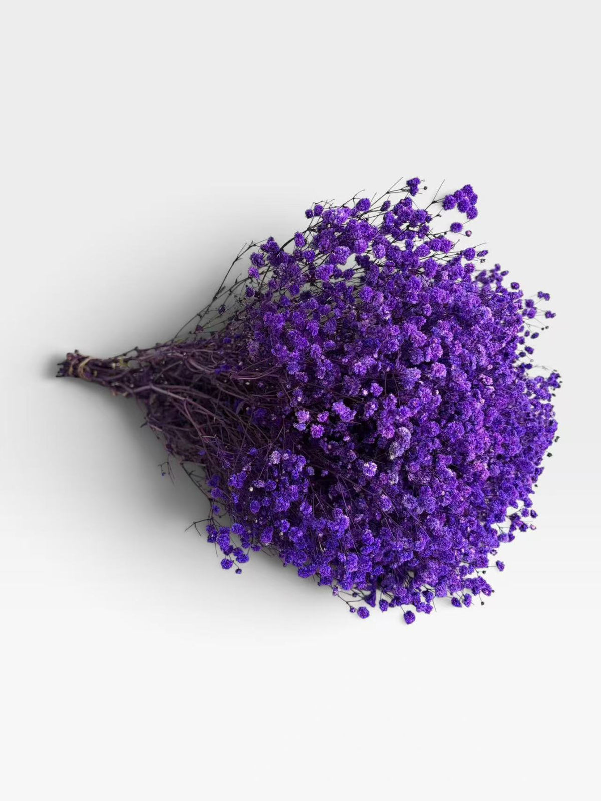 Purple preserved baby's breath, approximately 200 g